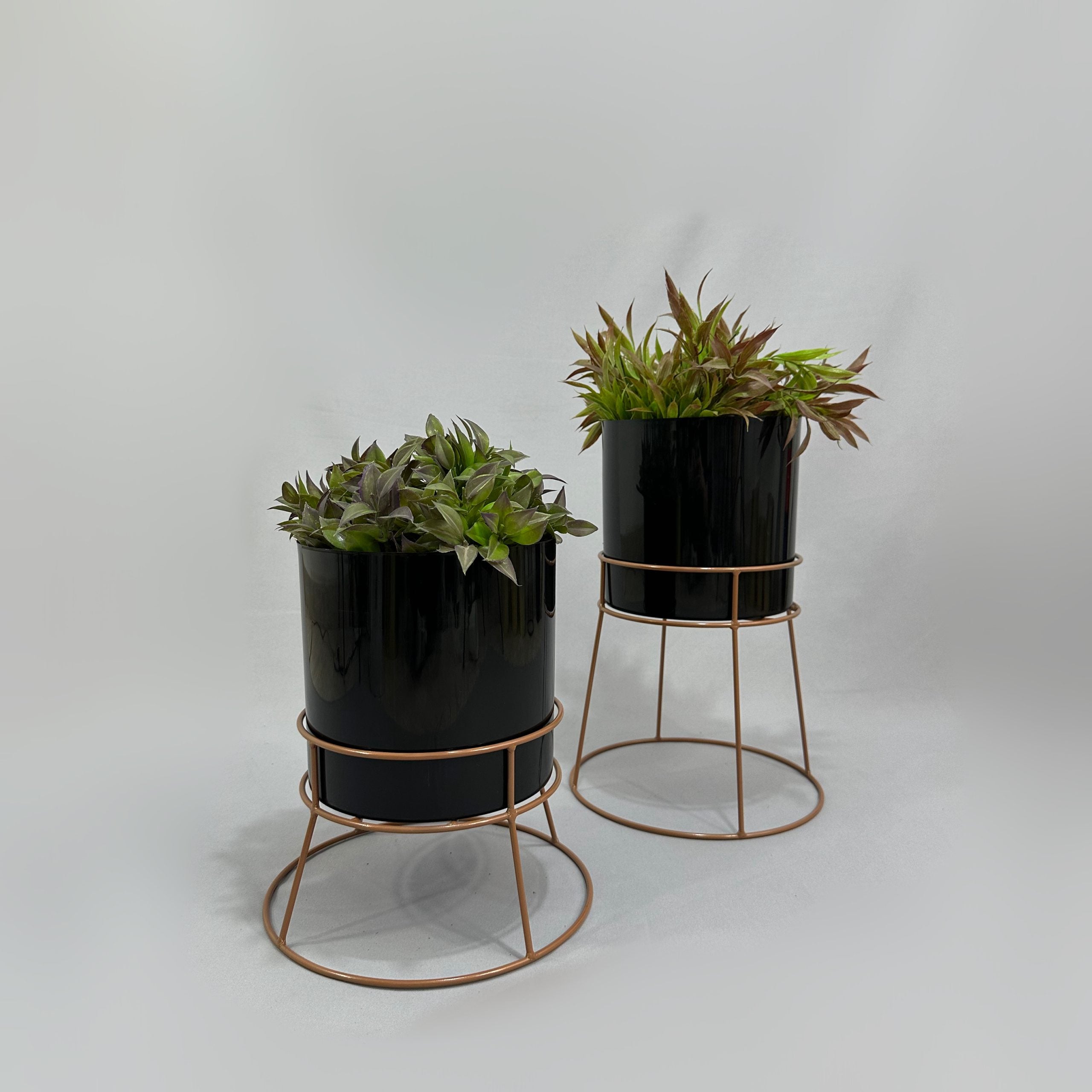 Soportes Ross con Cilindro de Plastico