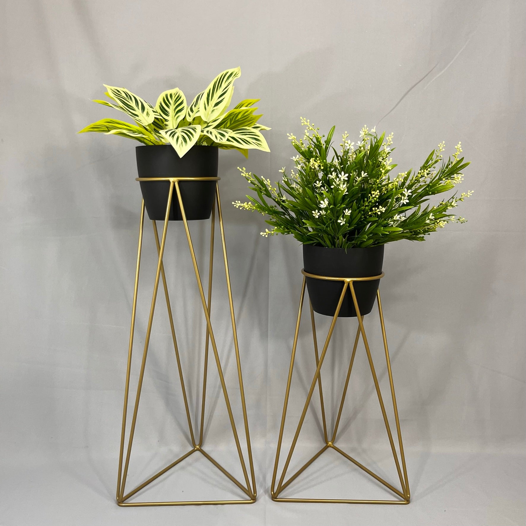 Set Amazonia con materos plasticos