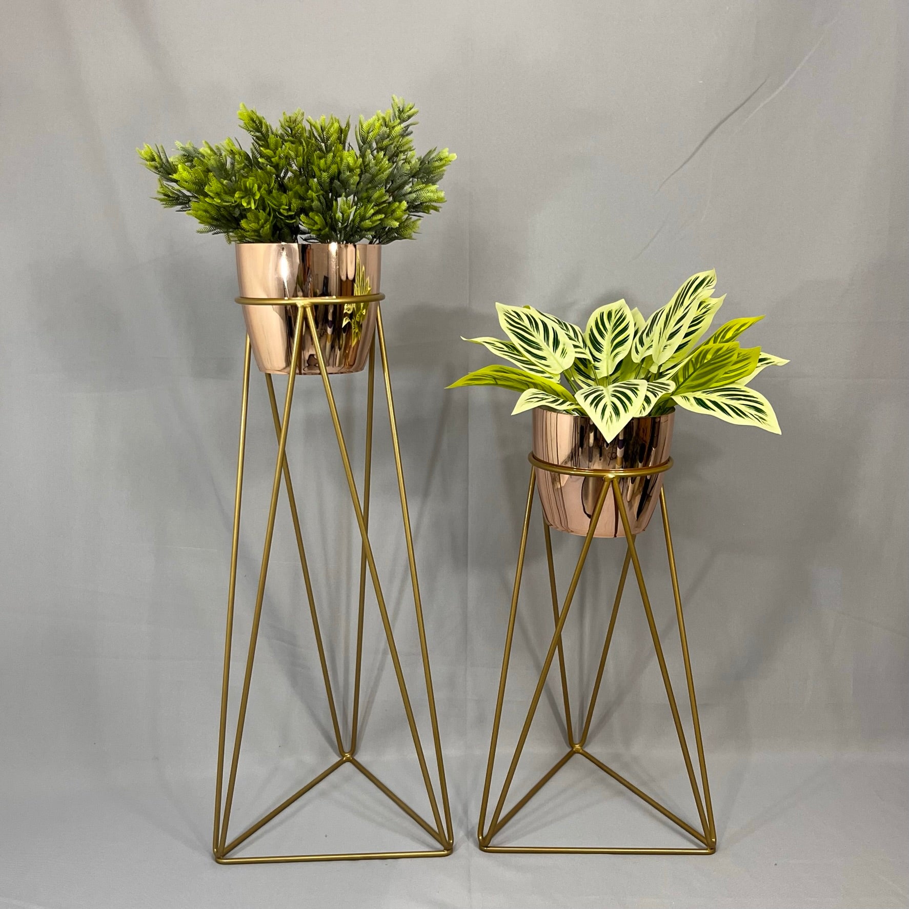 Set Amazonia con materos plasticos