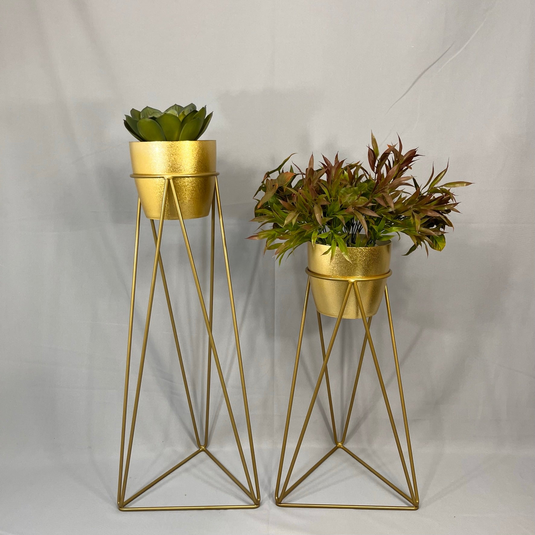 Set Amazonia con materos plasticos
