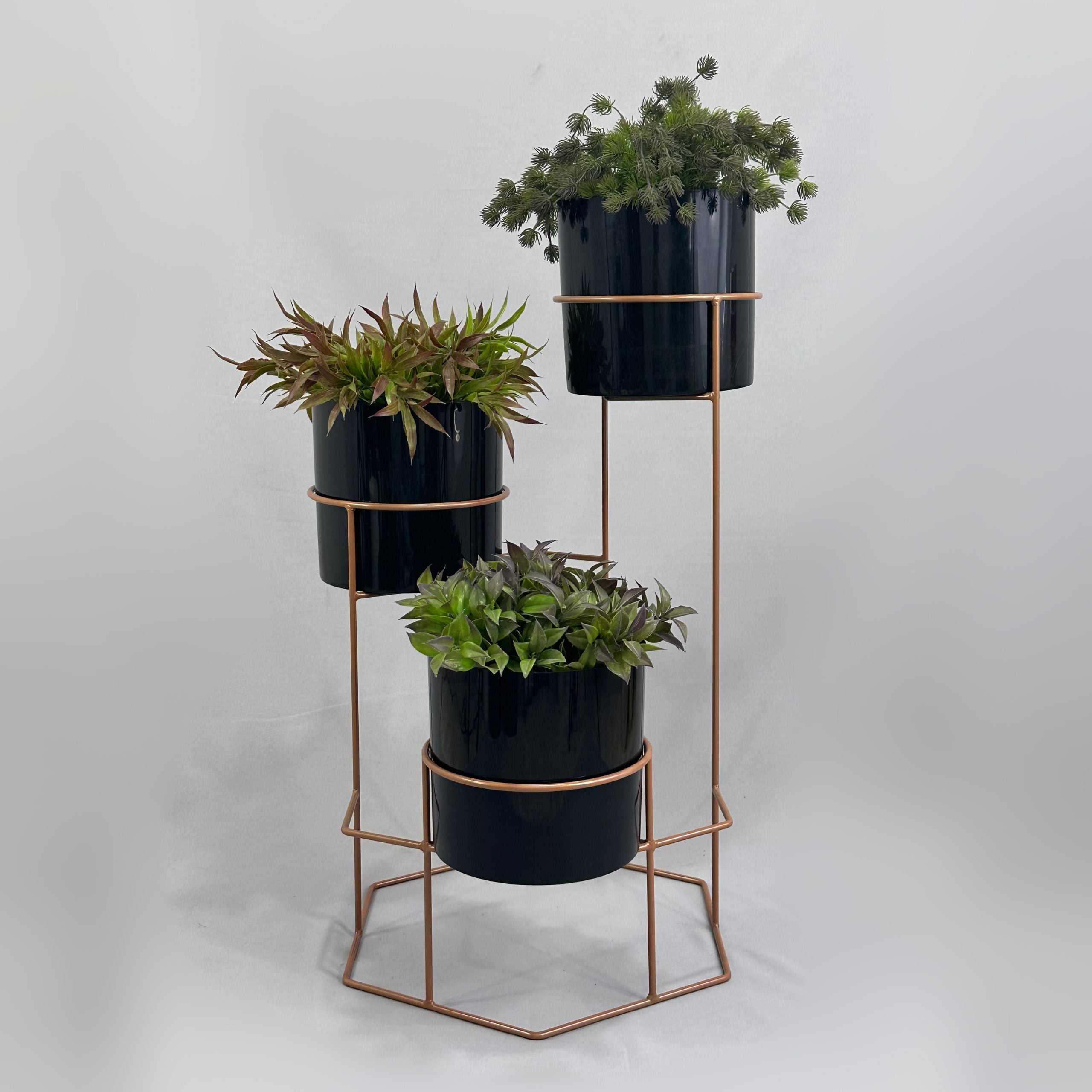 Padreperla de Cilindro con Cilindros Plasticos
