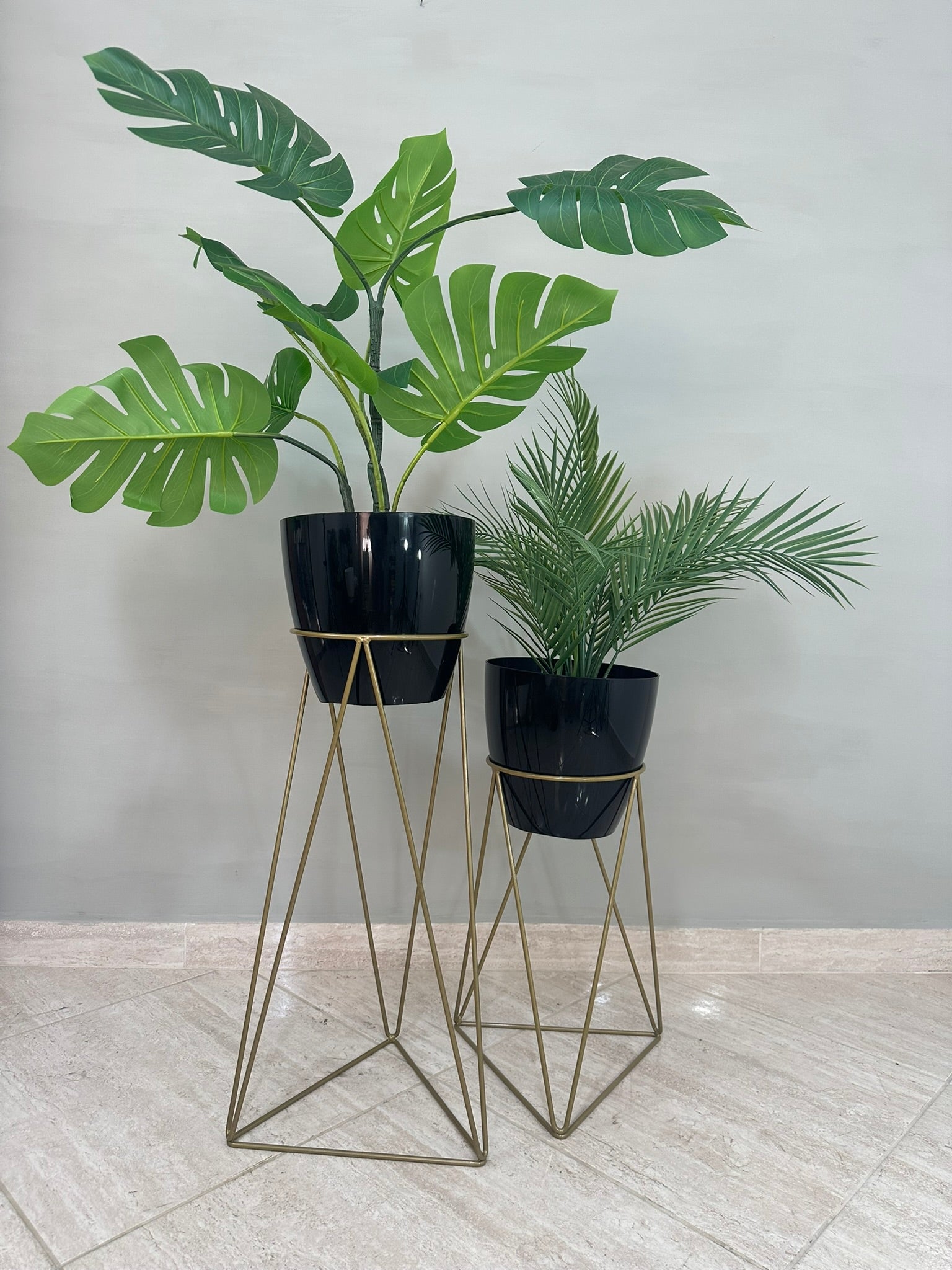 Set Amazonia con Materos Grandes