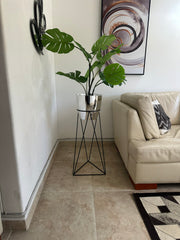 Amazonia con Matero Grande Metalizado