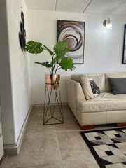 Amazonia con Matero Grande Metalizado