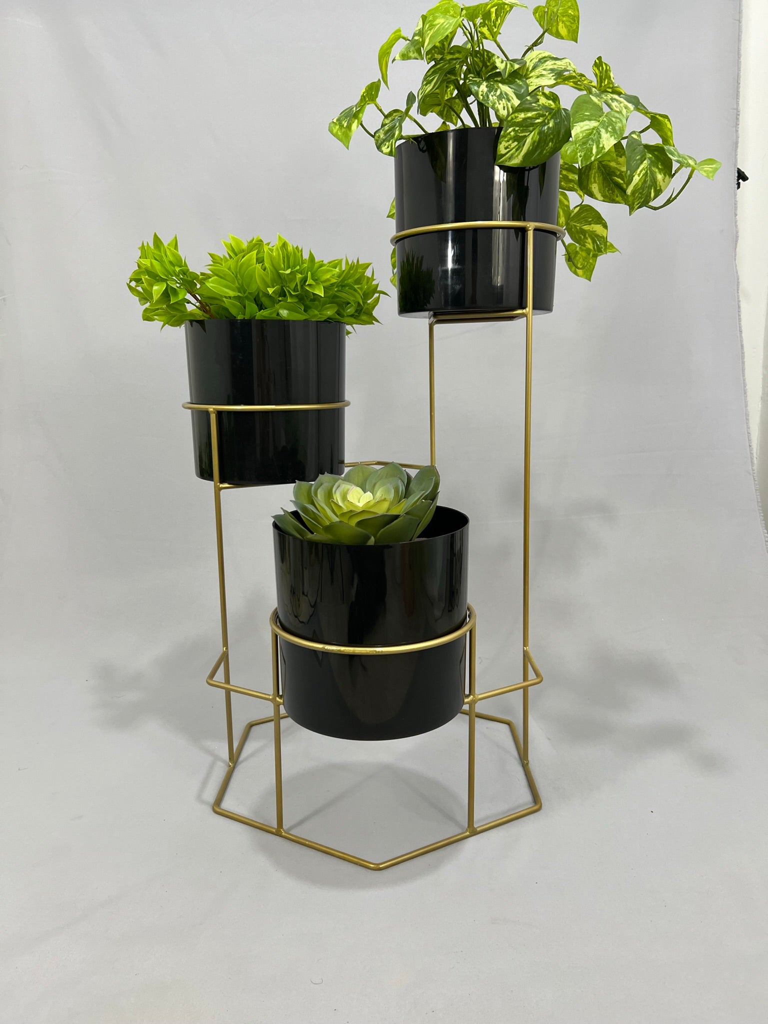 Padreperla de Cilindro con Cilindros Plasticos