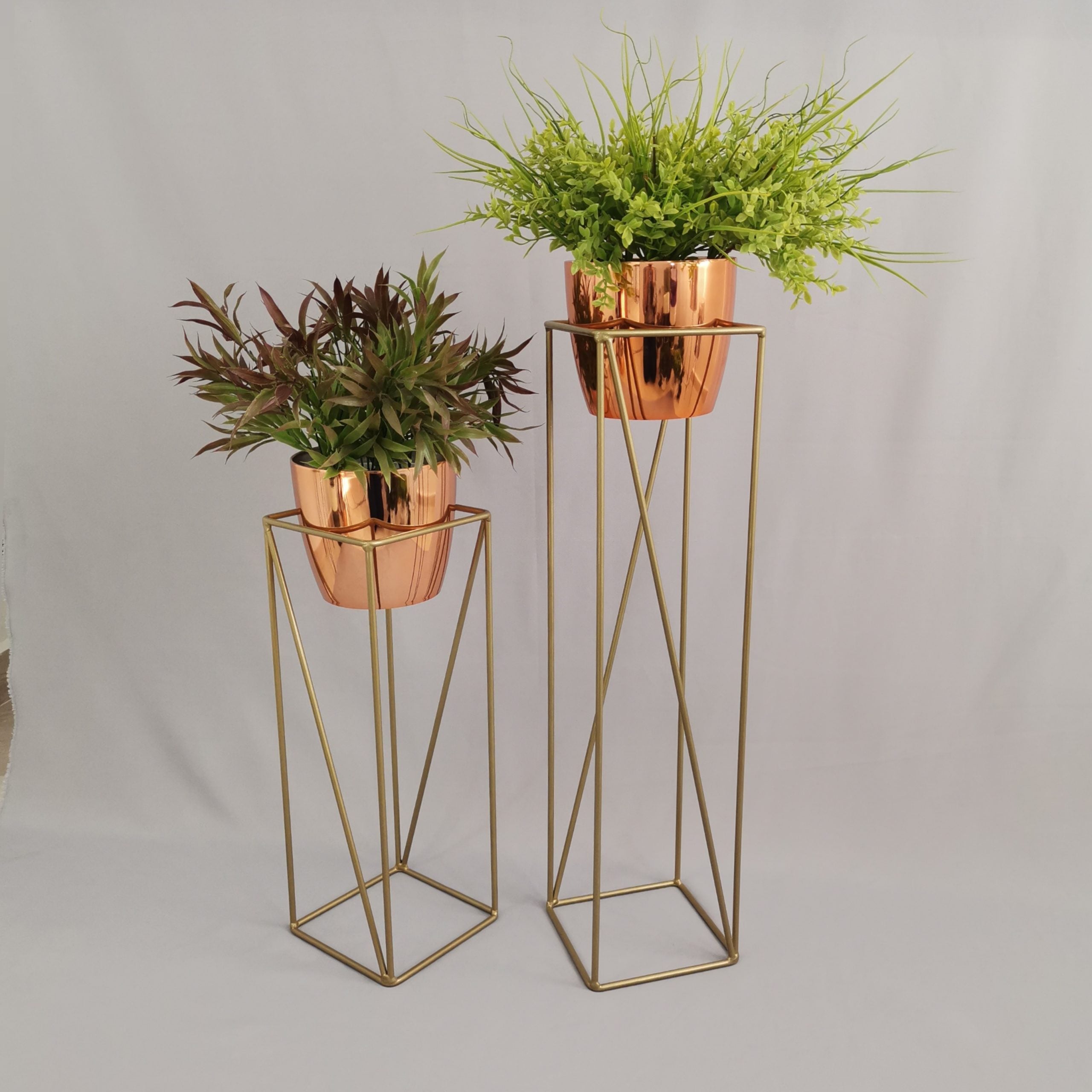 Set Tanzanita con Materos Plasticos