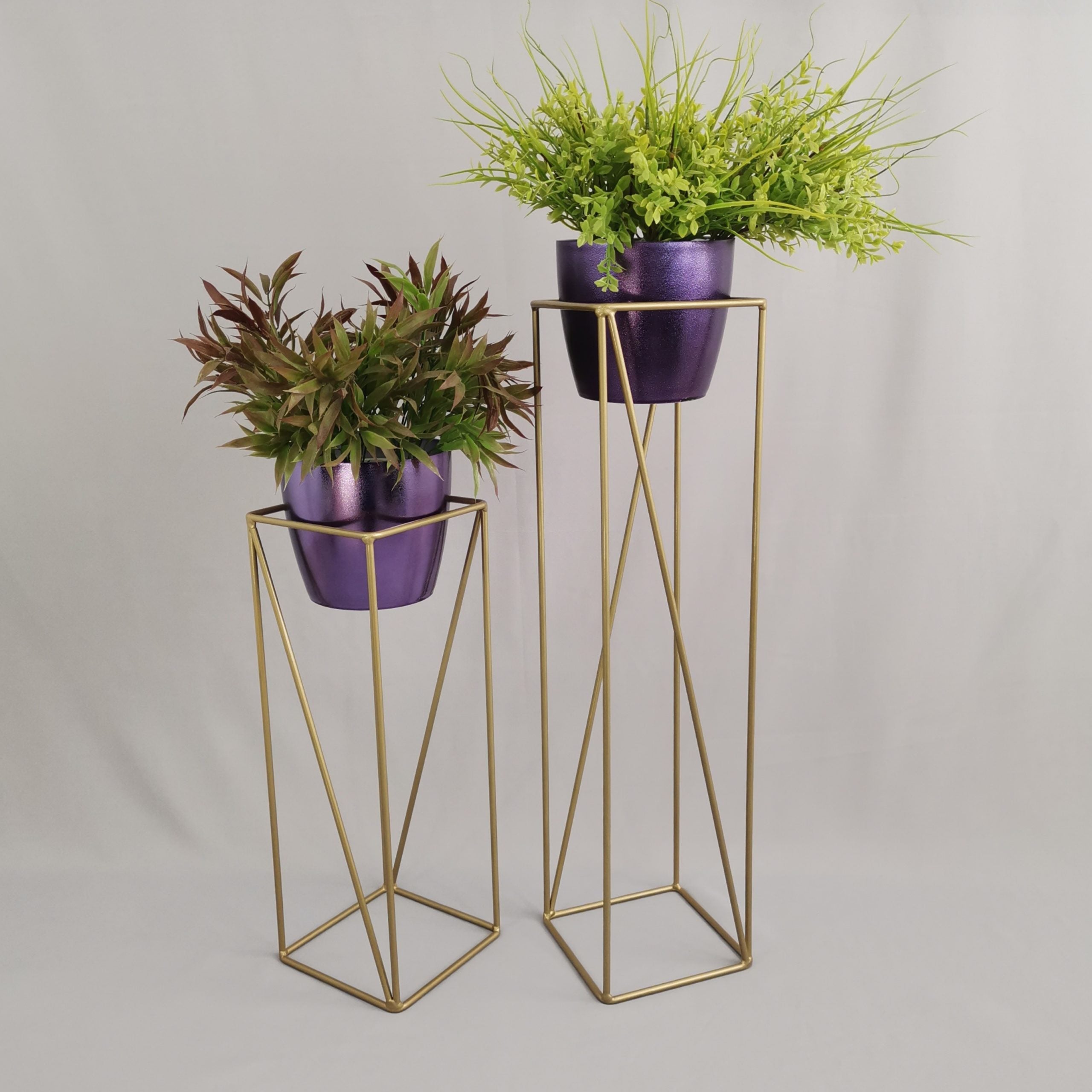 Set Tanzanita con Materos Plasticos