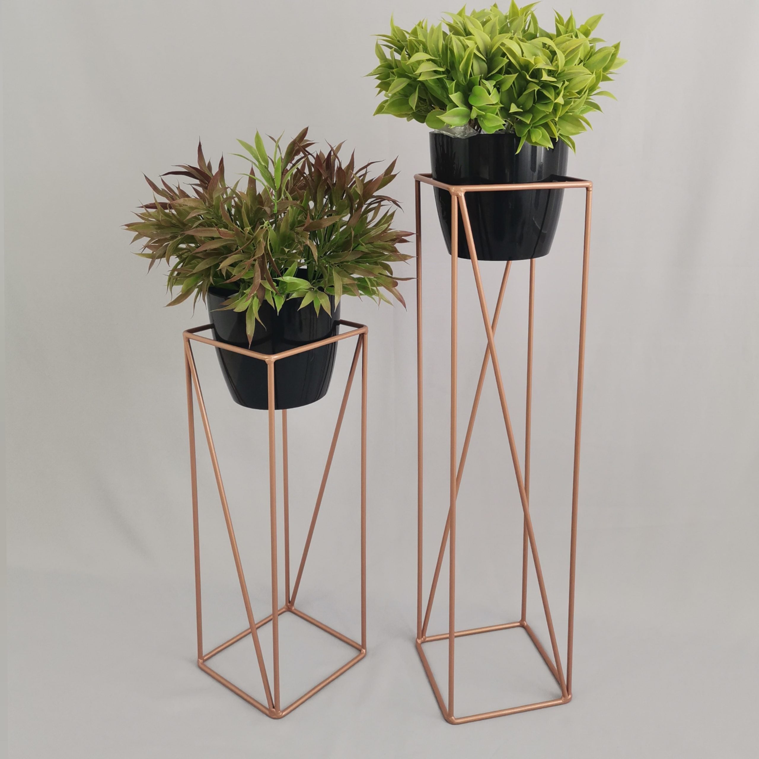 Set Tanzanita con Materos Plasticos