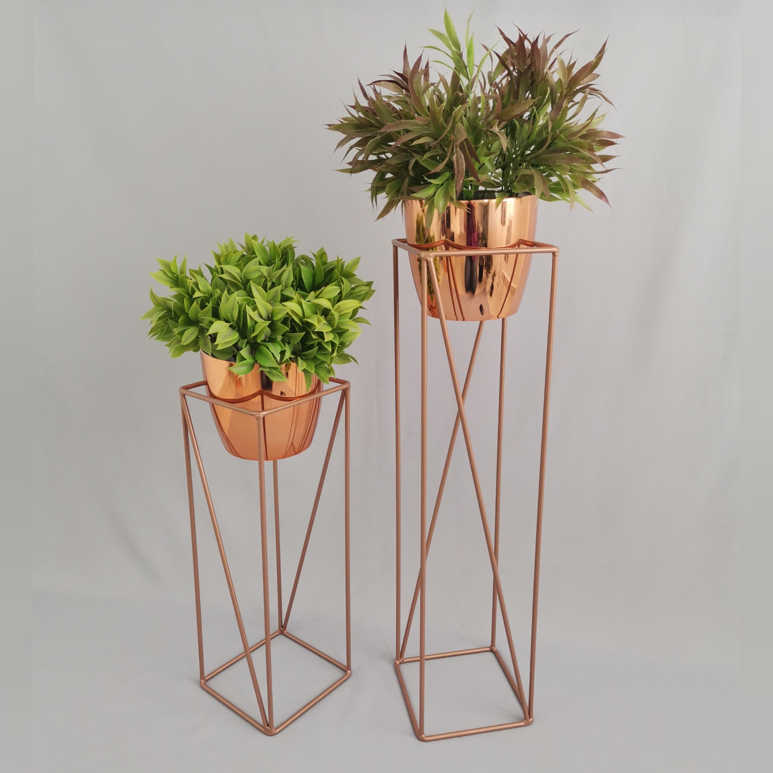 Set Tanzanita con Materos Plasticos