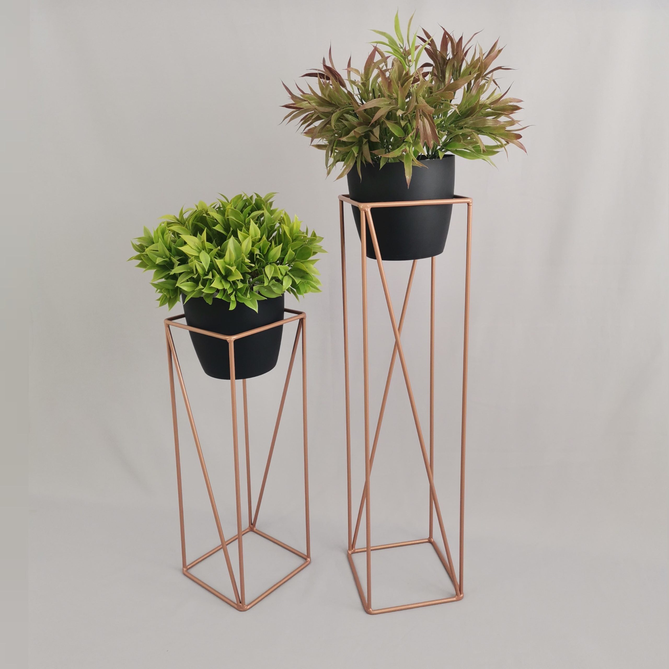 Set Tanzanita con Materos Plasticos