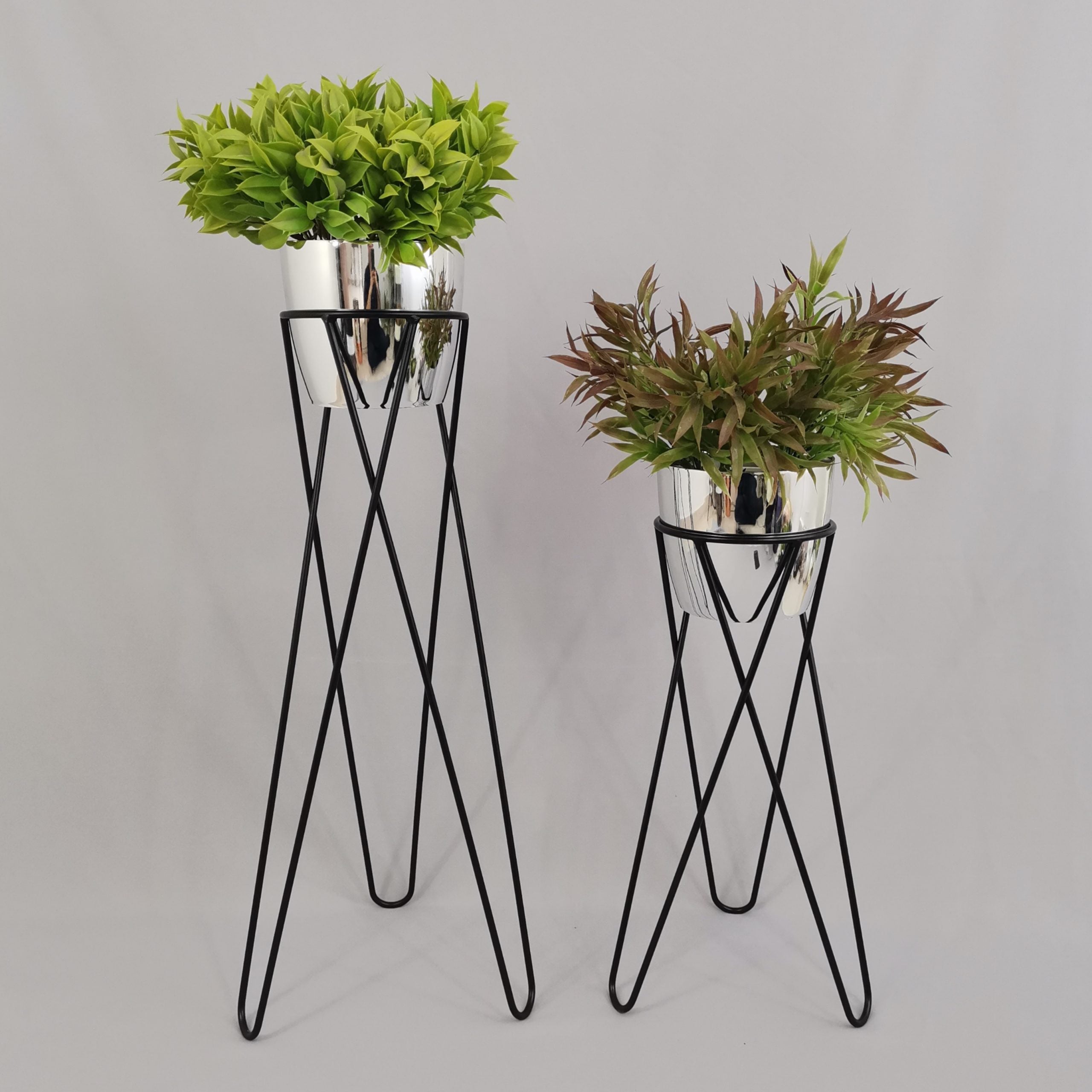 Set Cornalina con Materos Plasticos