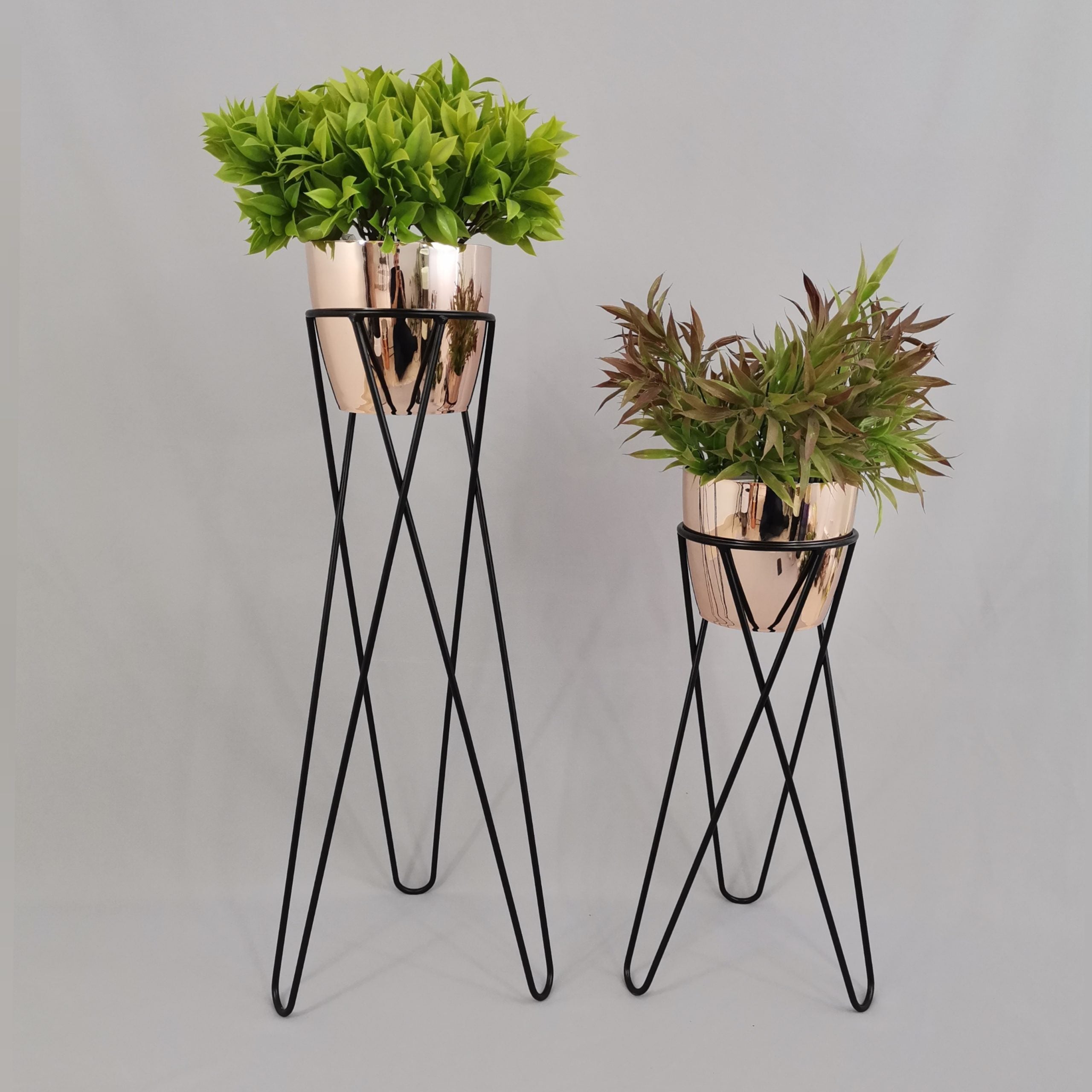 Set Cornalina con Materos Plasticos