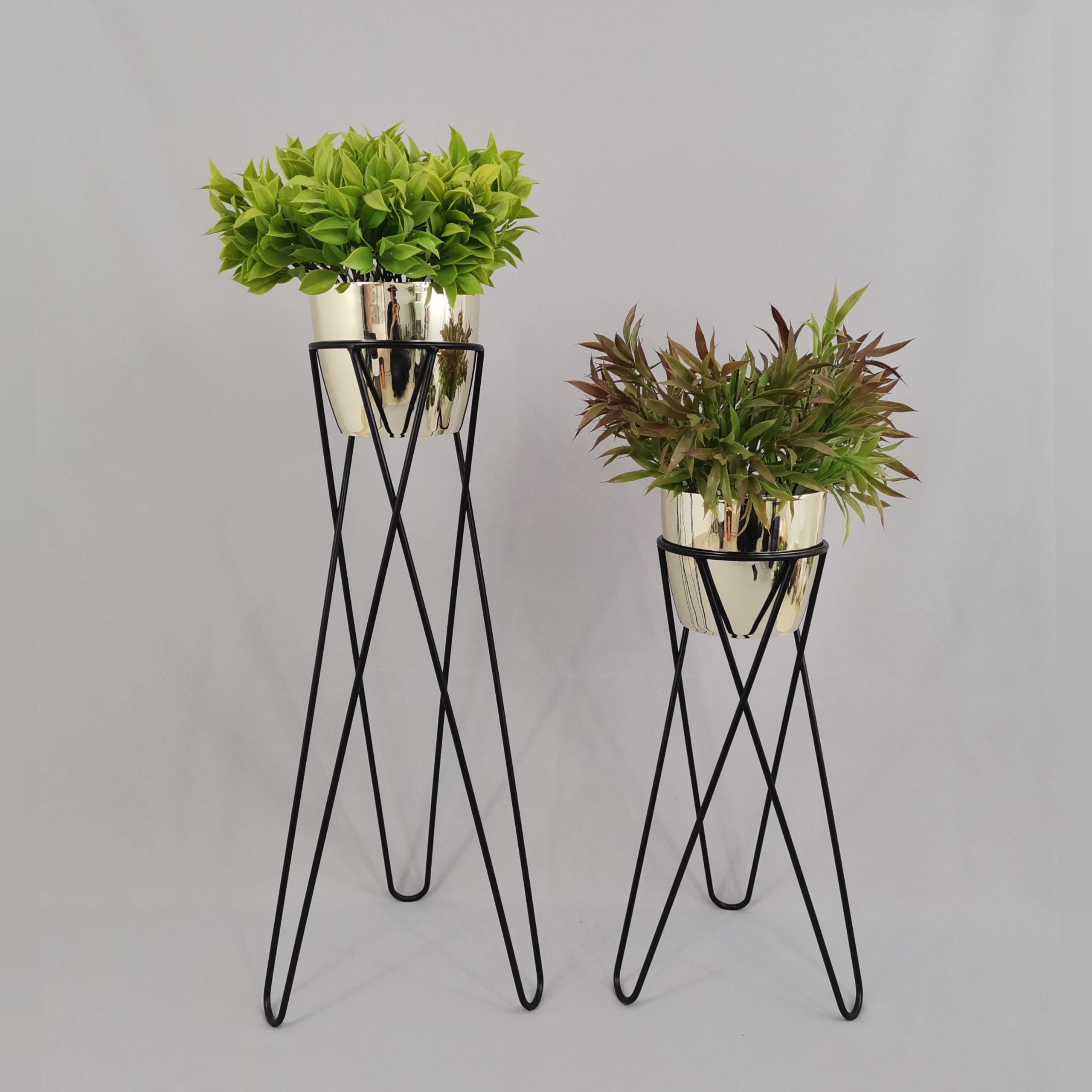 Set Cornalina con Materos Plasticos