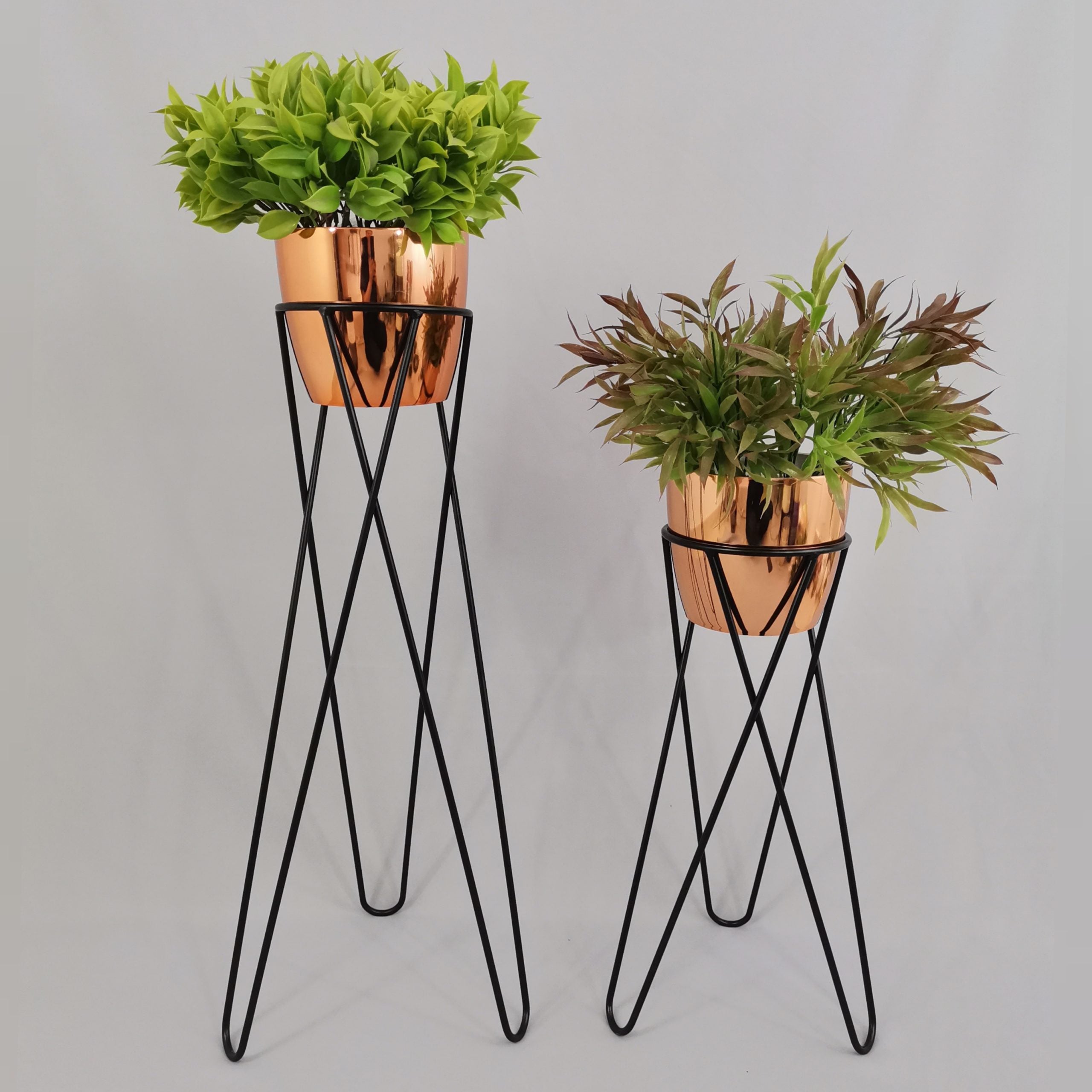 Set Cornalina con Materos Plasticos