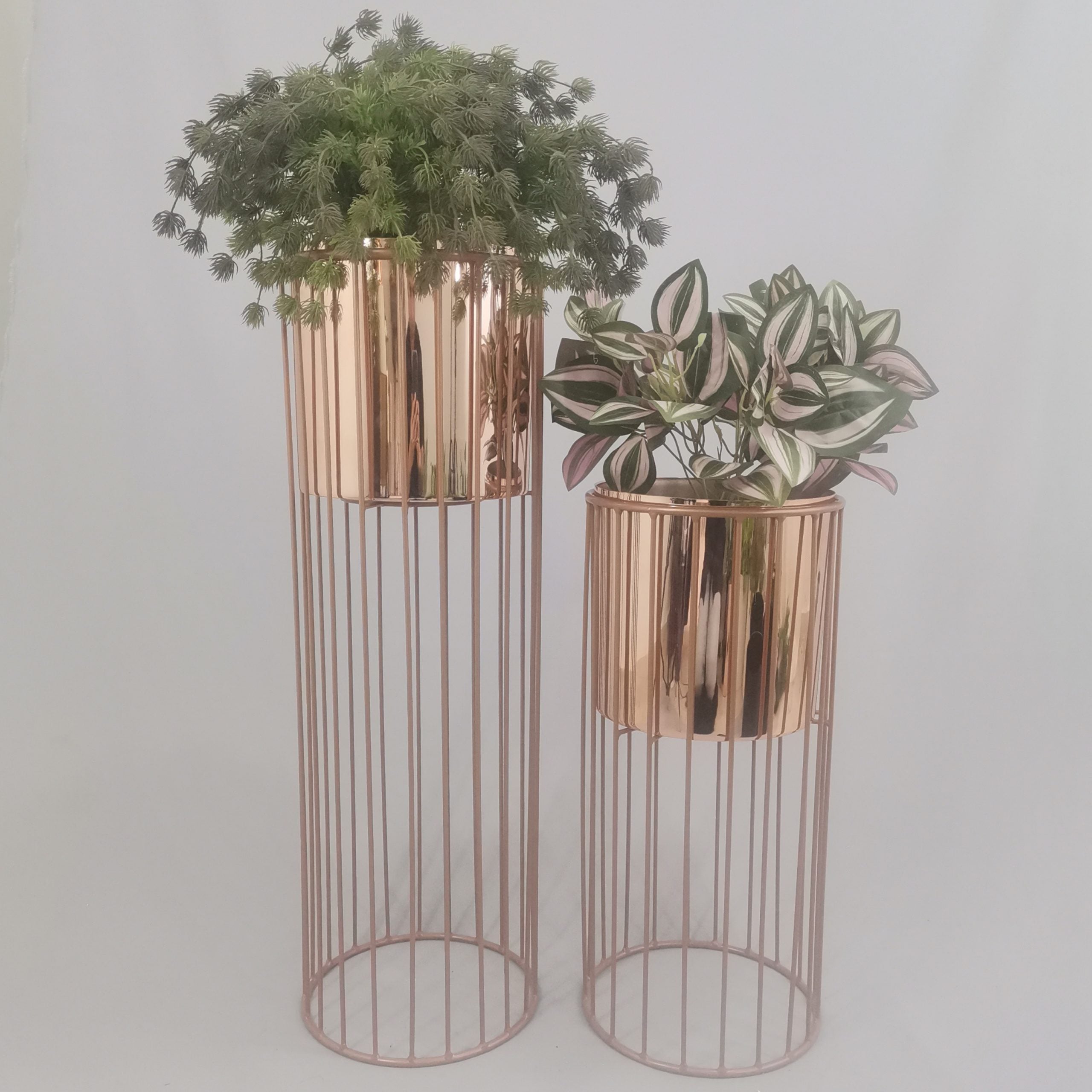 Set cristal con Cilindros de Plastico