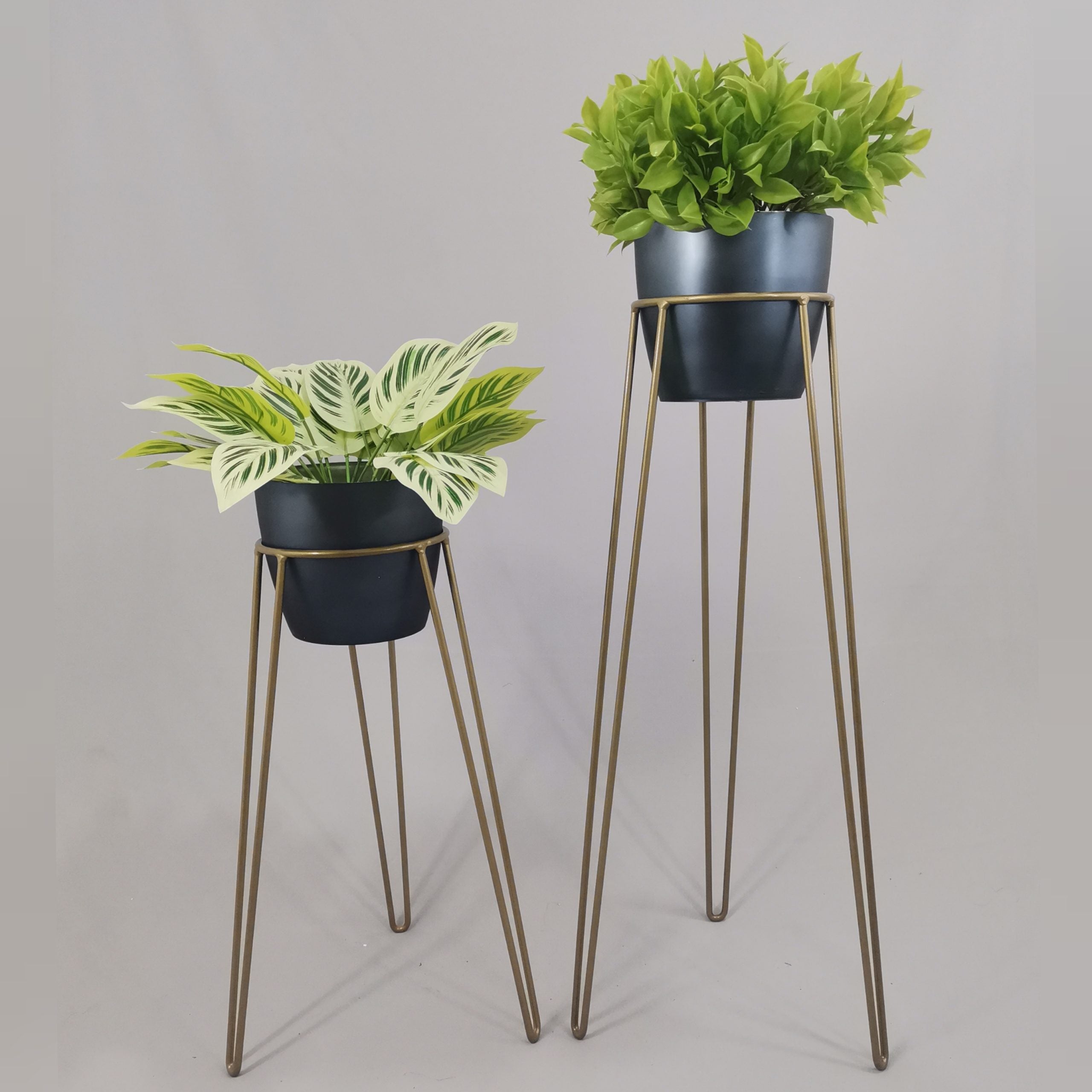 Set Amatista con Materos Plasticos