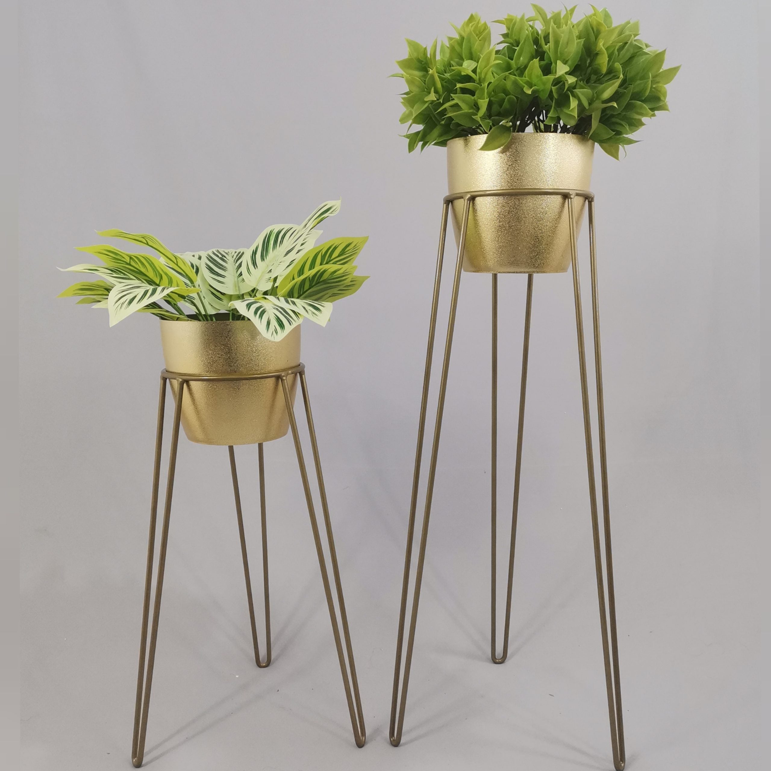 Set Amatista con Materos Plasticos