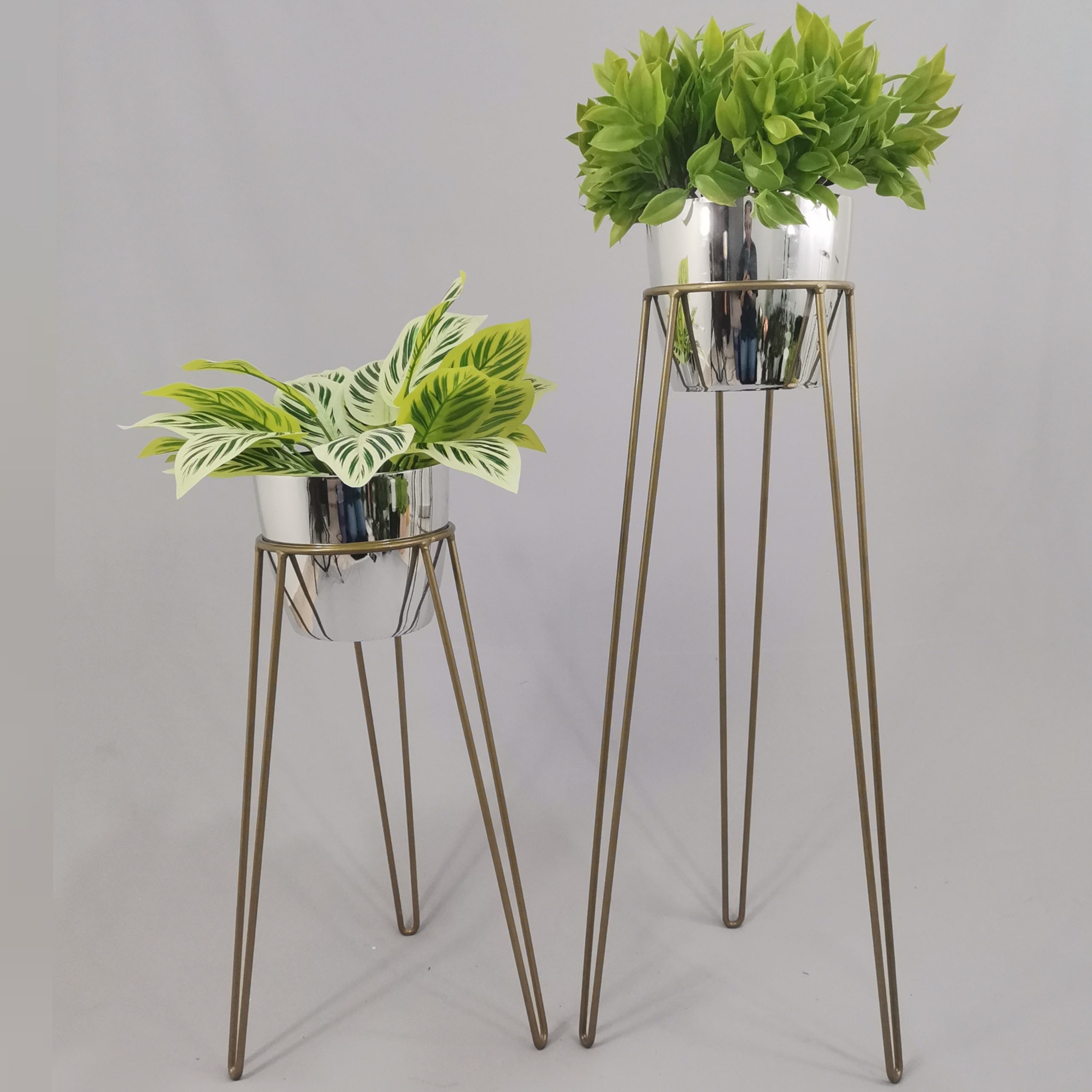 Set Amatista con Materos Plasticos