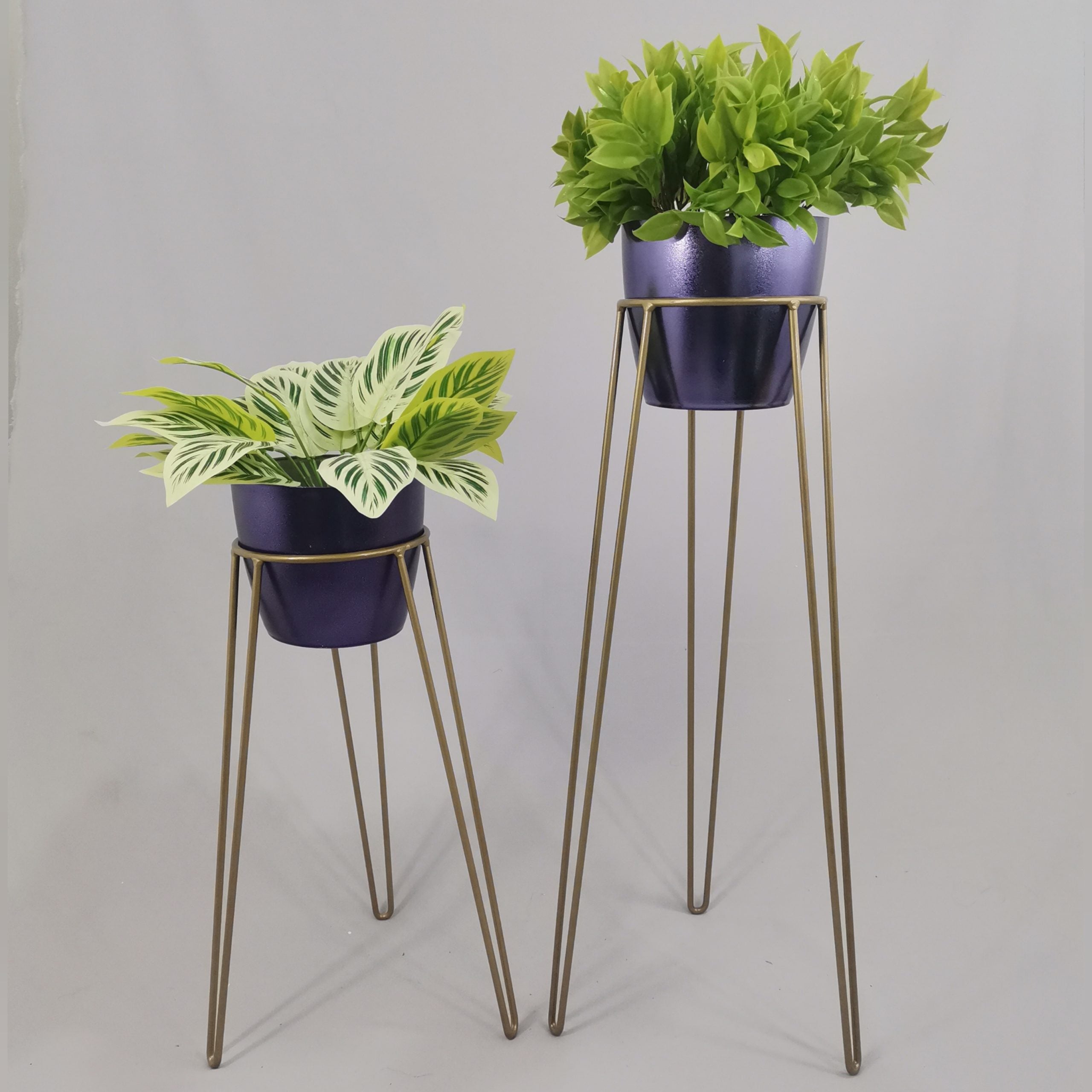 Set Amatista con Materos Plasticos