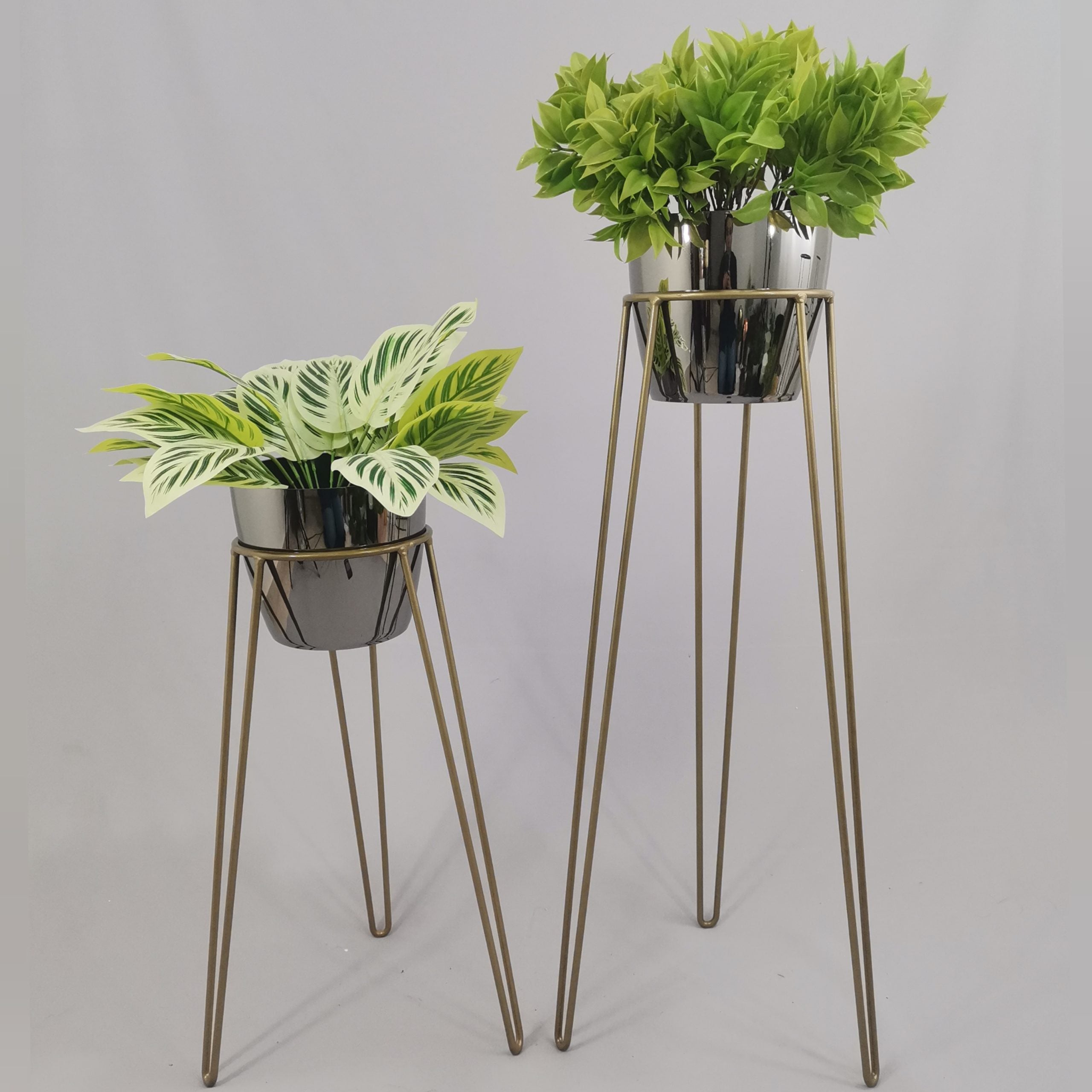Set Amatista con Materos Plasticos