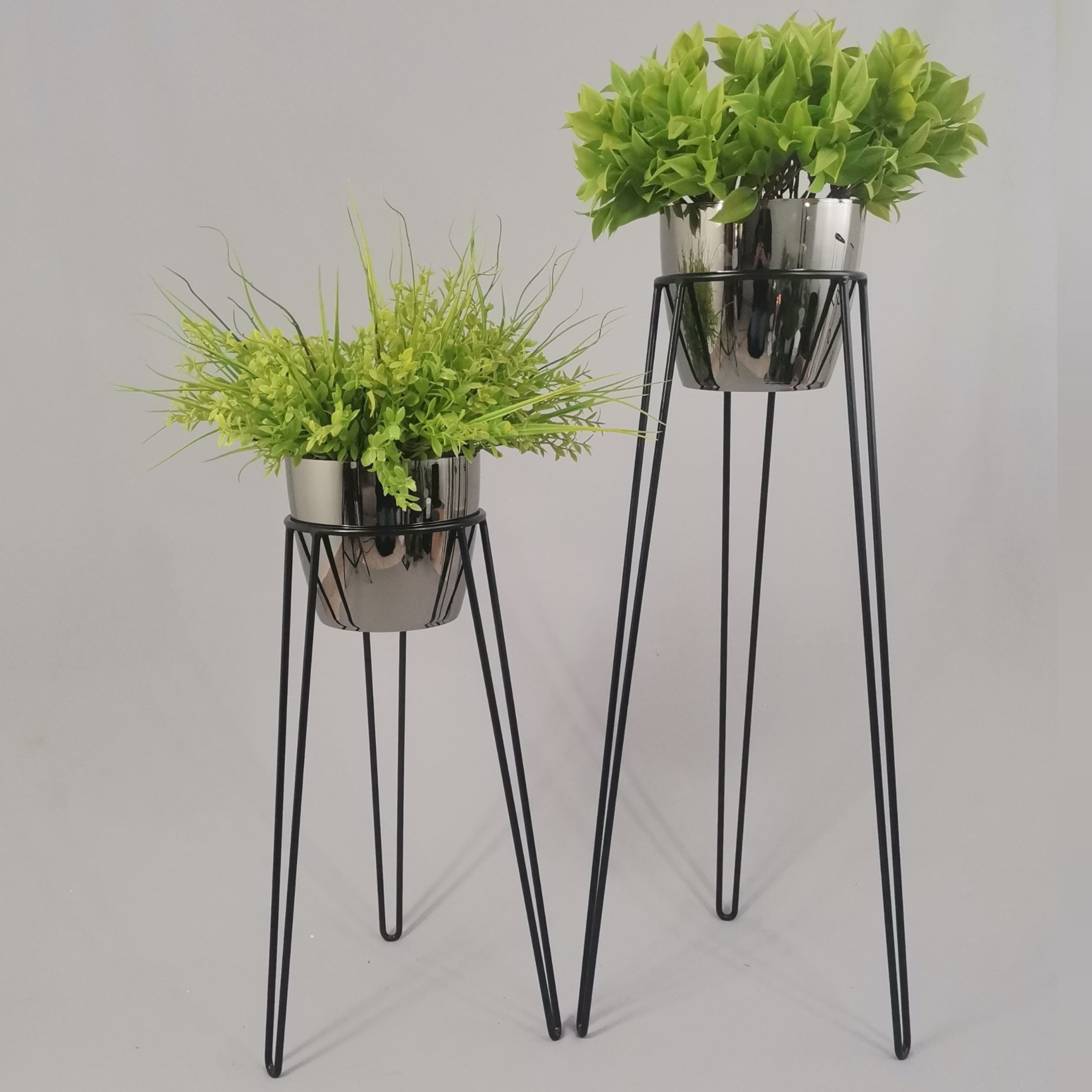 Set Amatista con Materos Plasticos