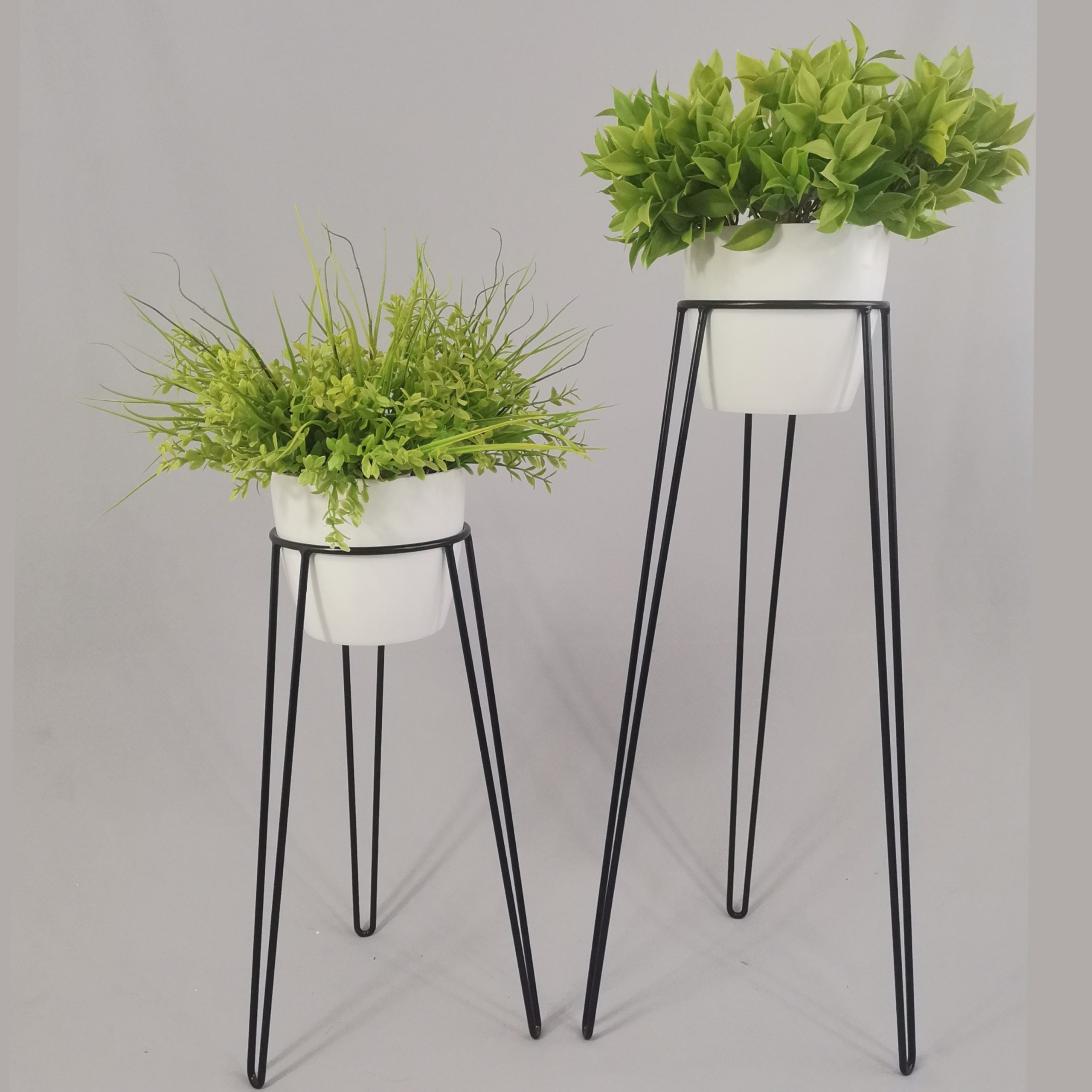 Set Amatista con Materos Plasticos