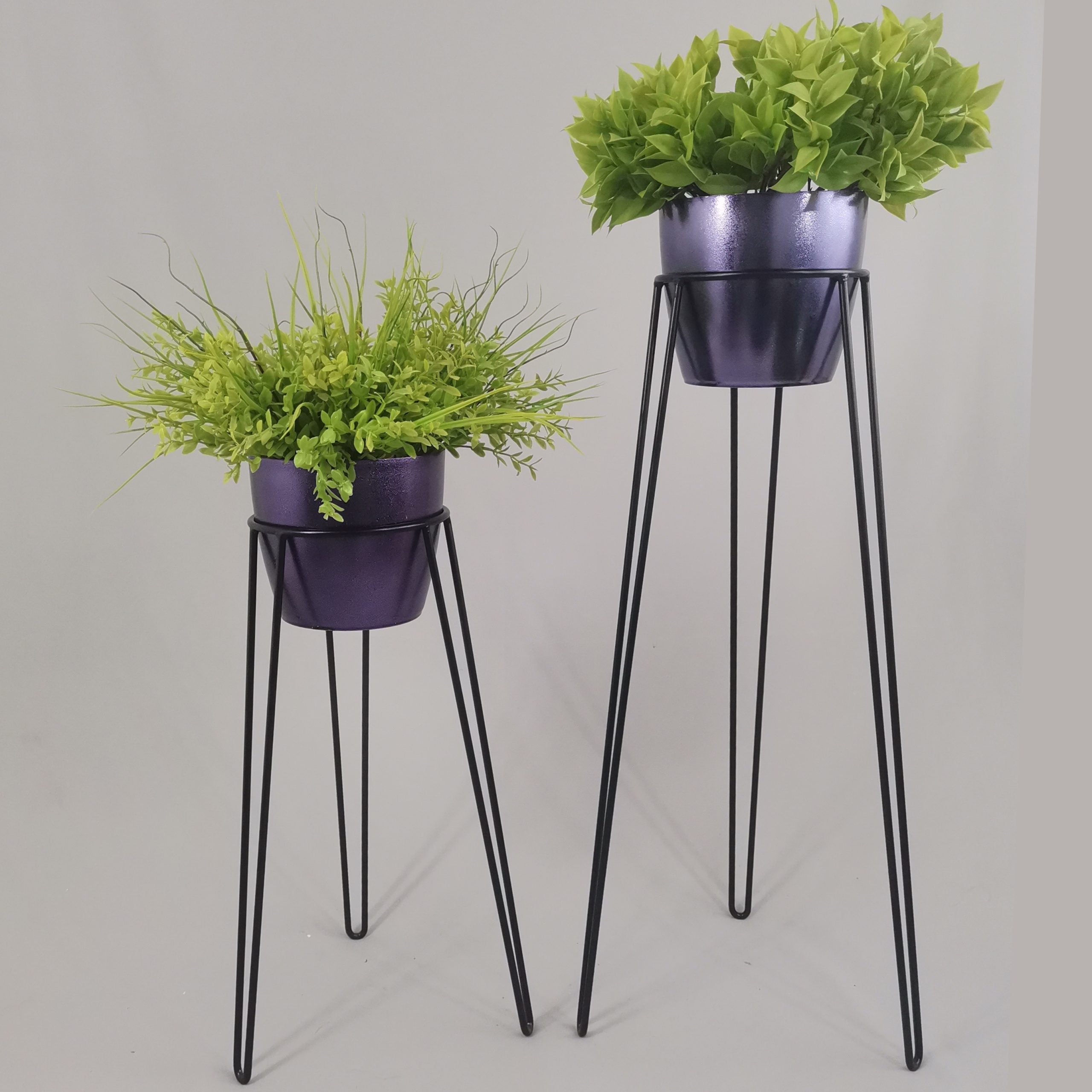 Set Amatista con Materos Plasticos