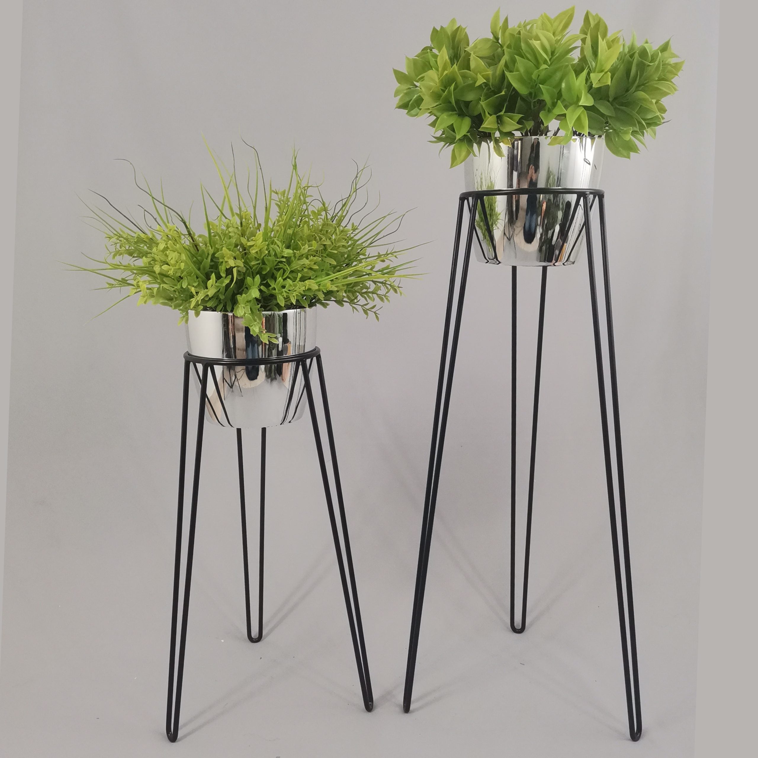 Set Amatista con Materos Plasticos