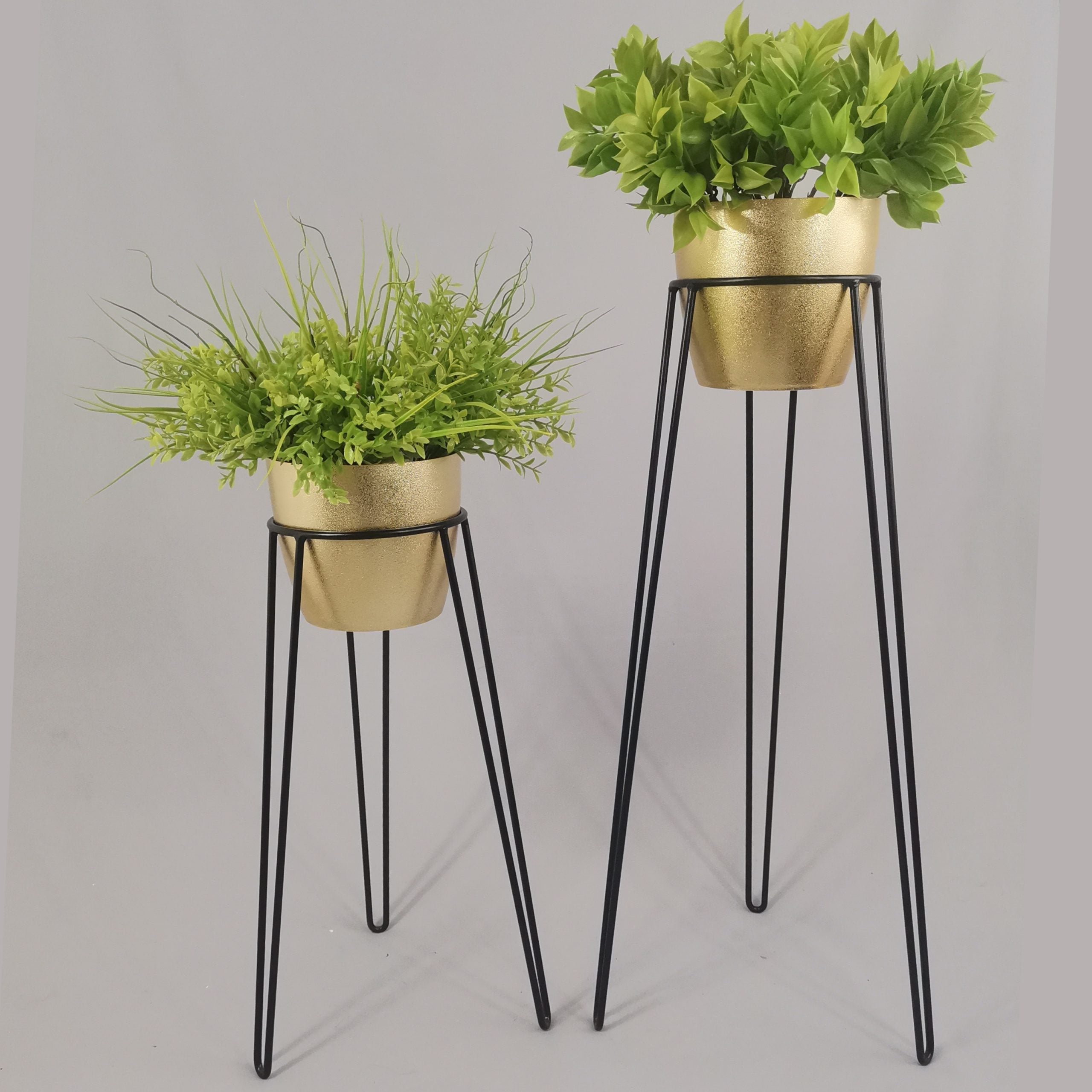 Set Amatista con Materos Plasticos