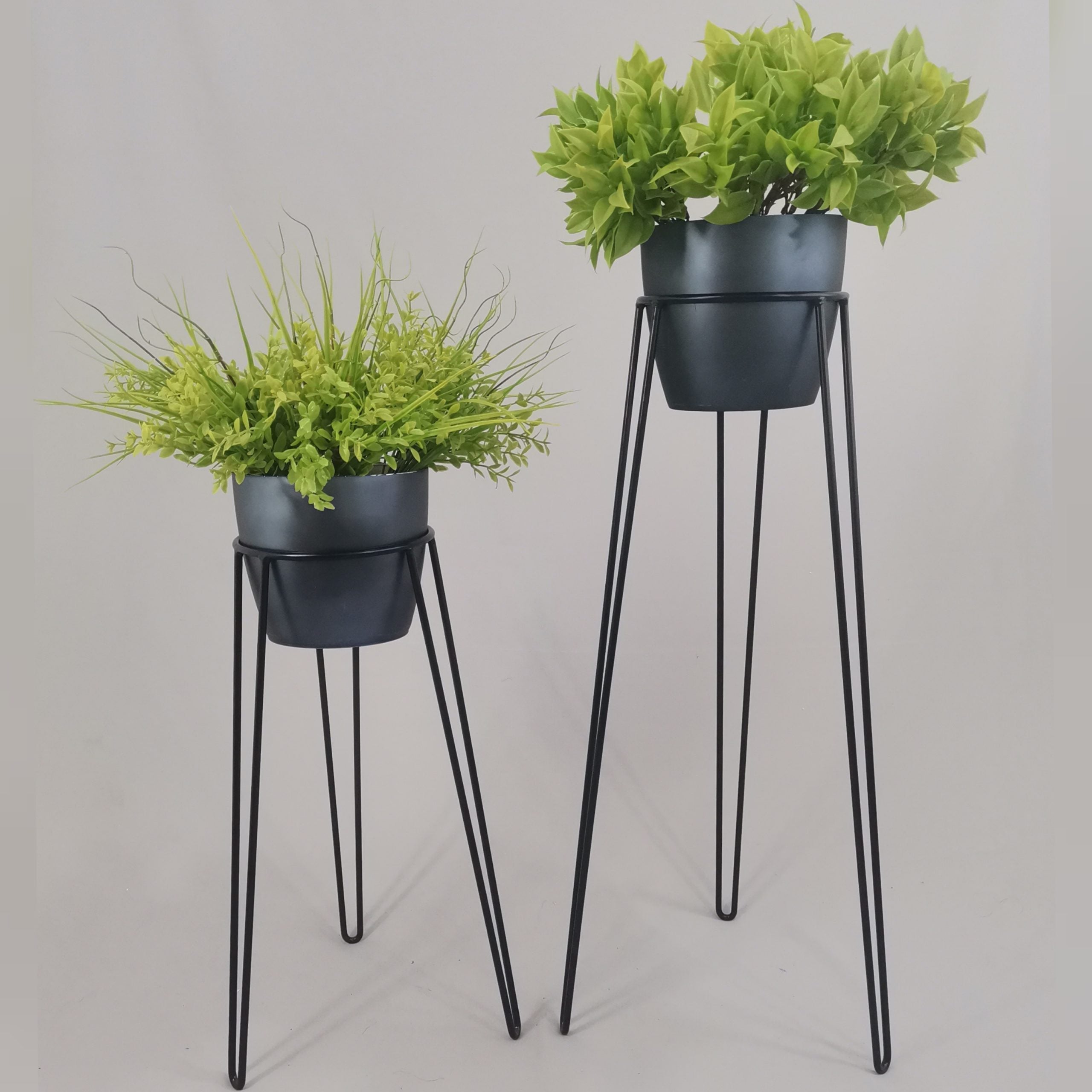 Set Amatista con Materos Plasticos