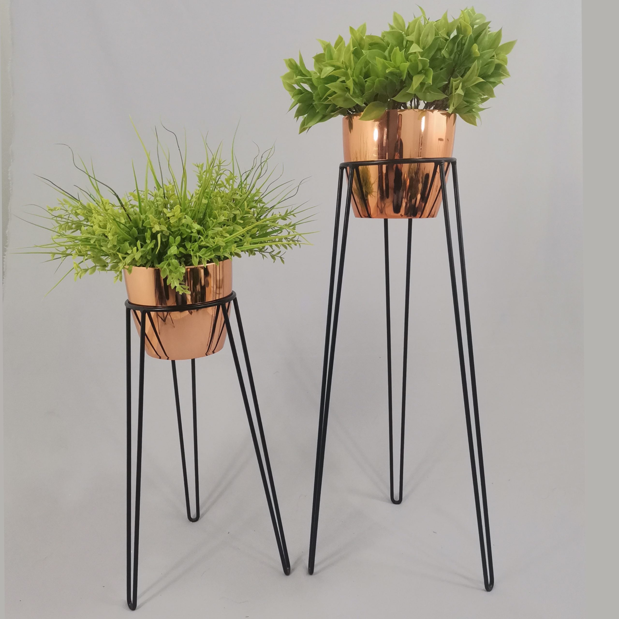 Set Amatista con Materos Plasticos