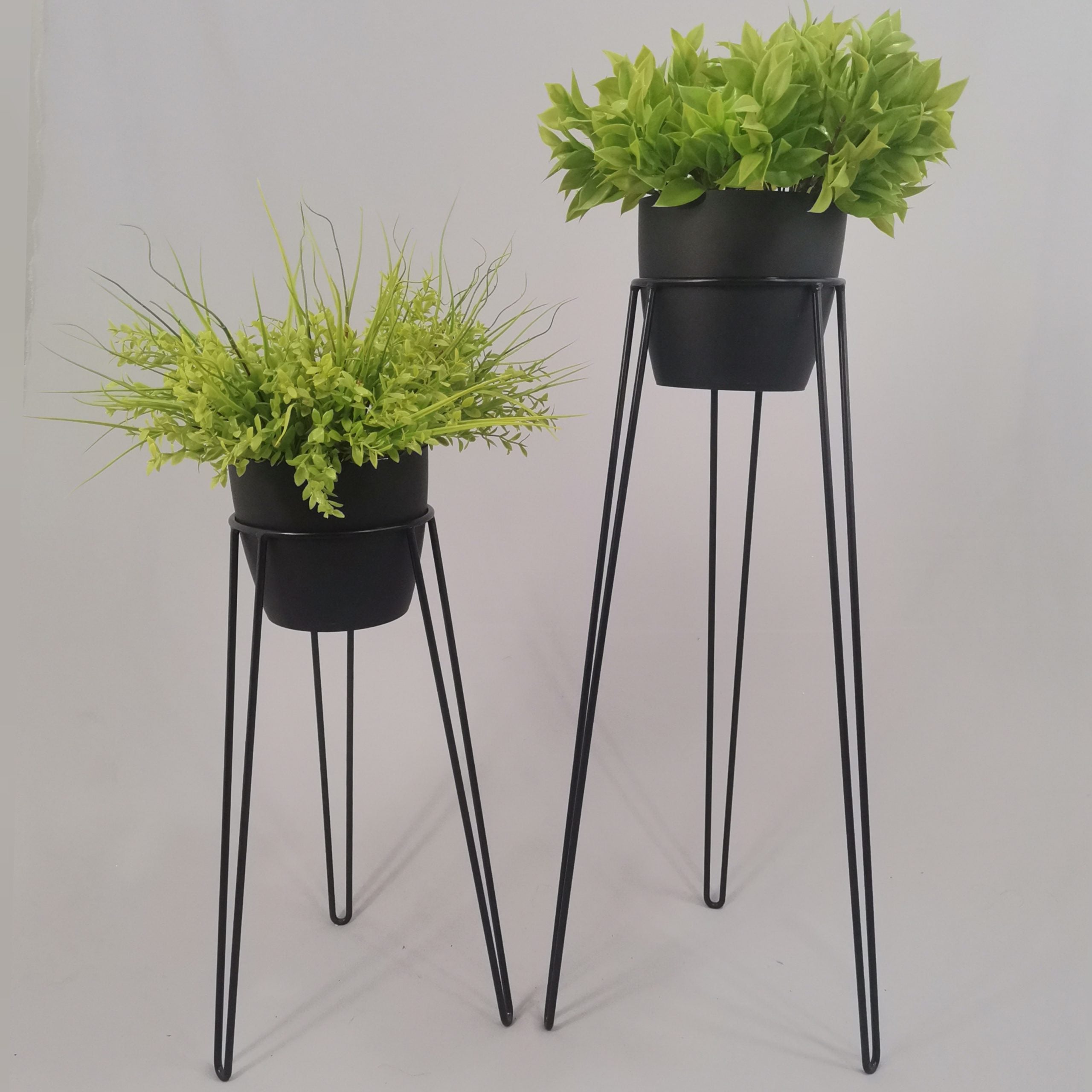Set Amatista con Materos Plasticos