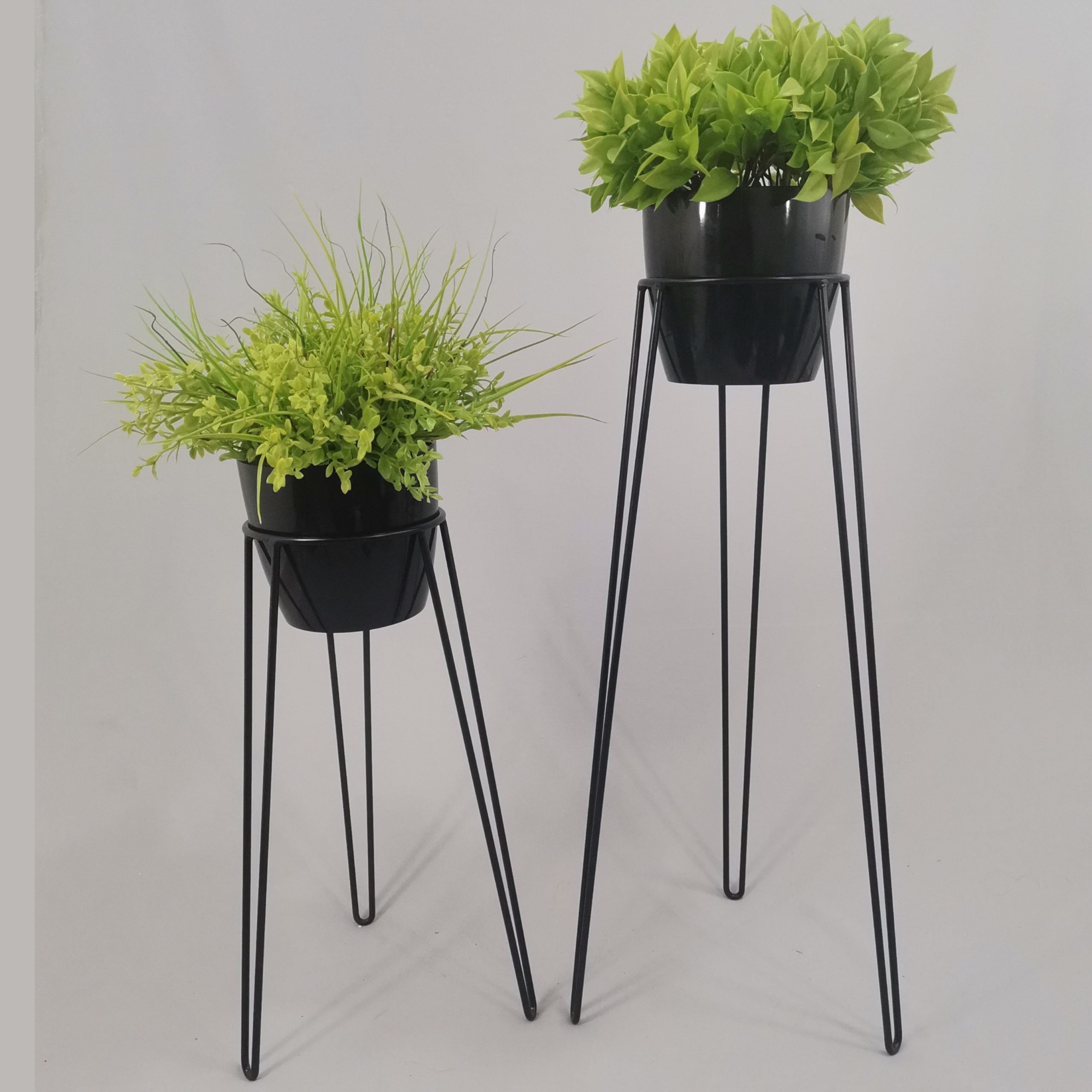 Set Amatista con Materos Plasticos