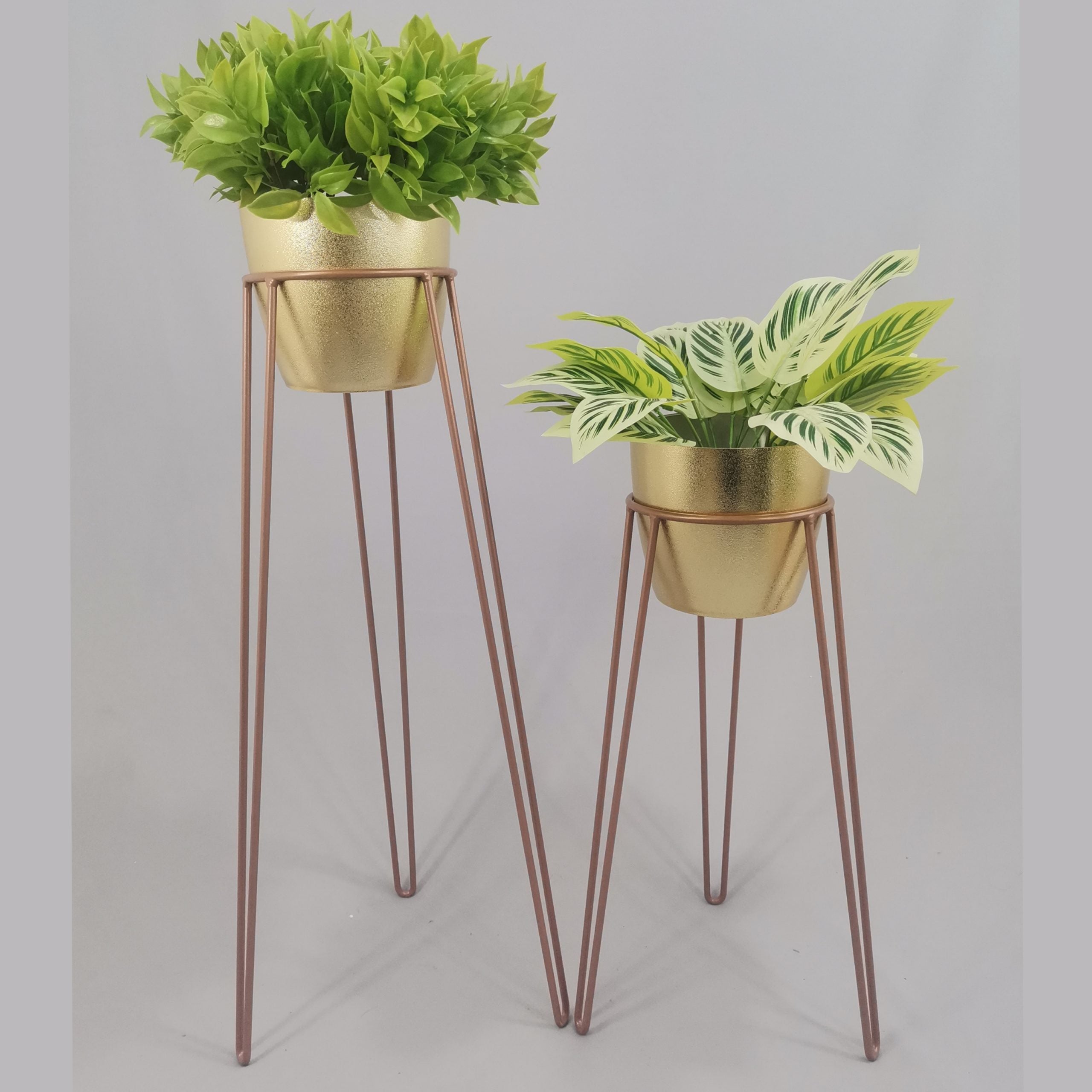 Set Amatista con Materos Plasticos