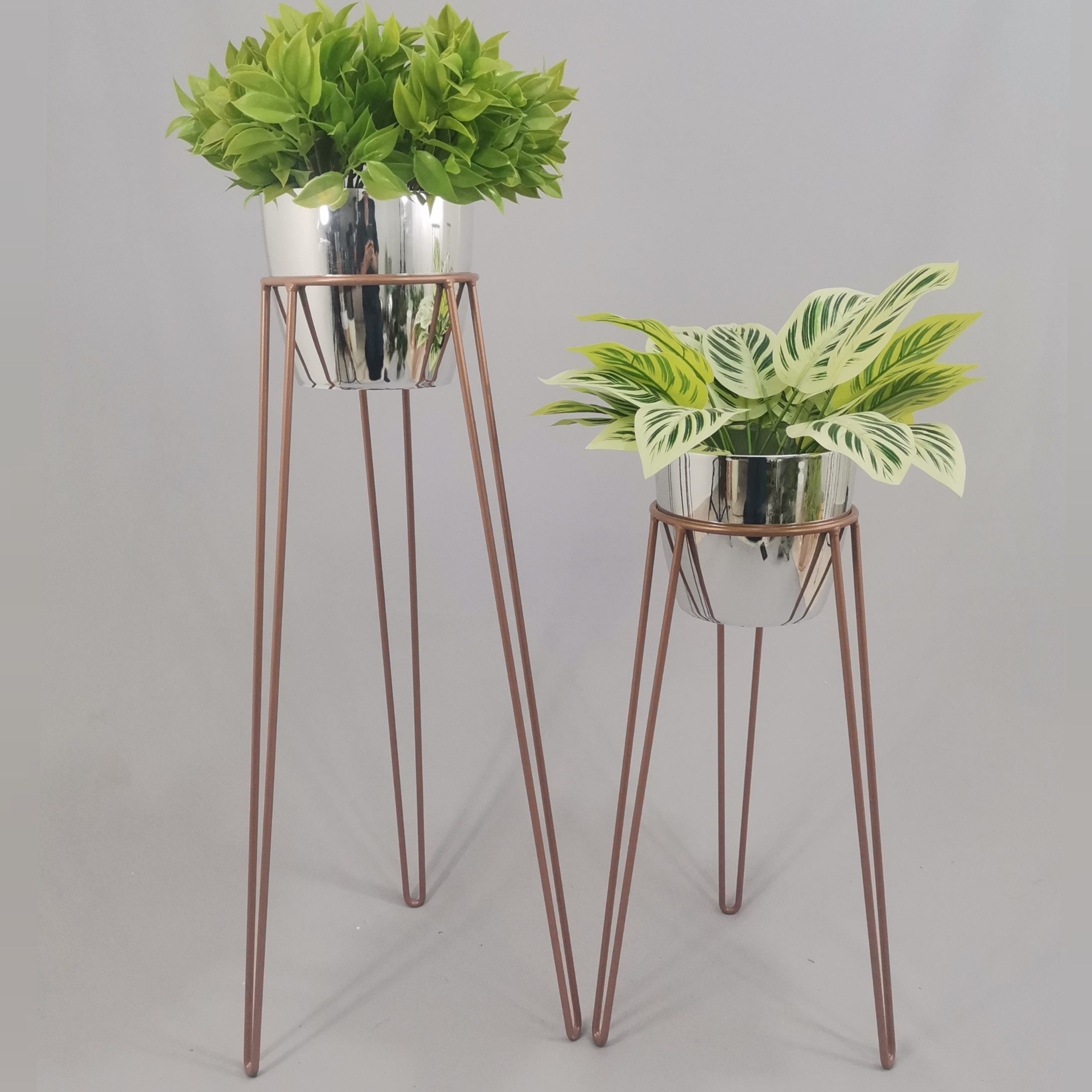 Set Amatista con Materos Plasticos