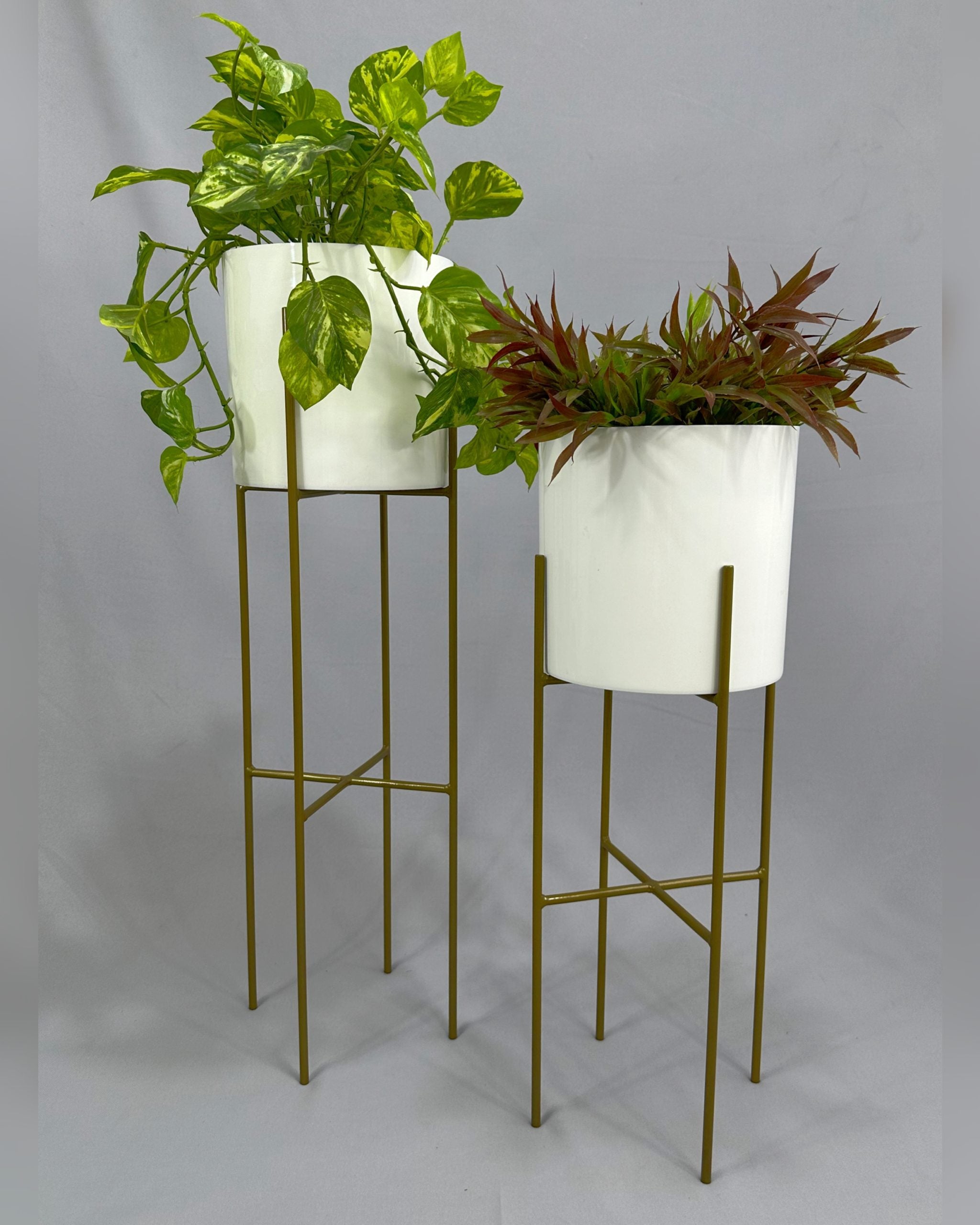 Set Turquesa Dorado con Cilindros de Plastico