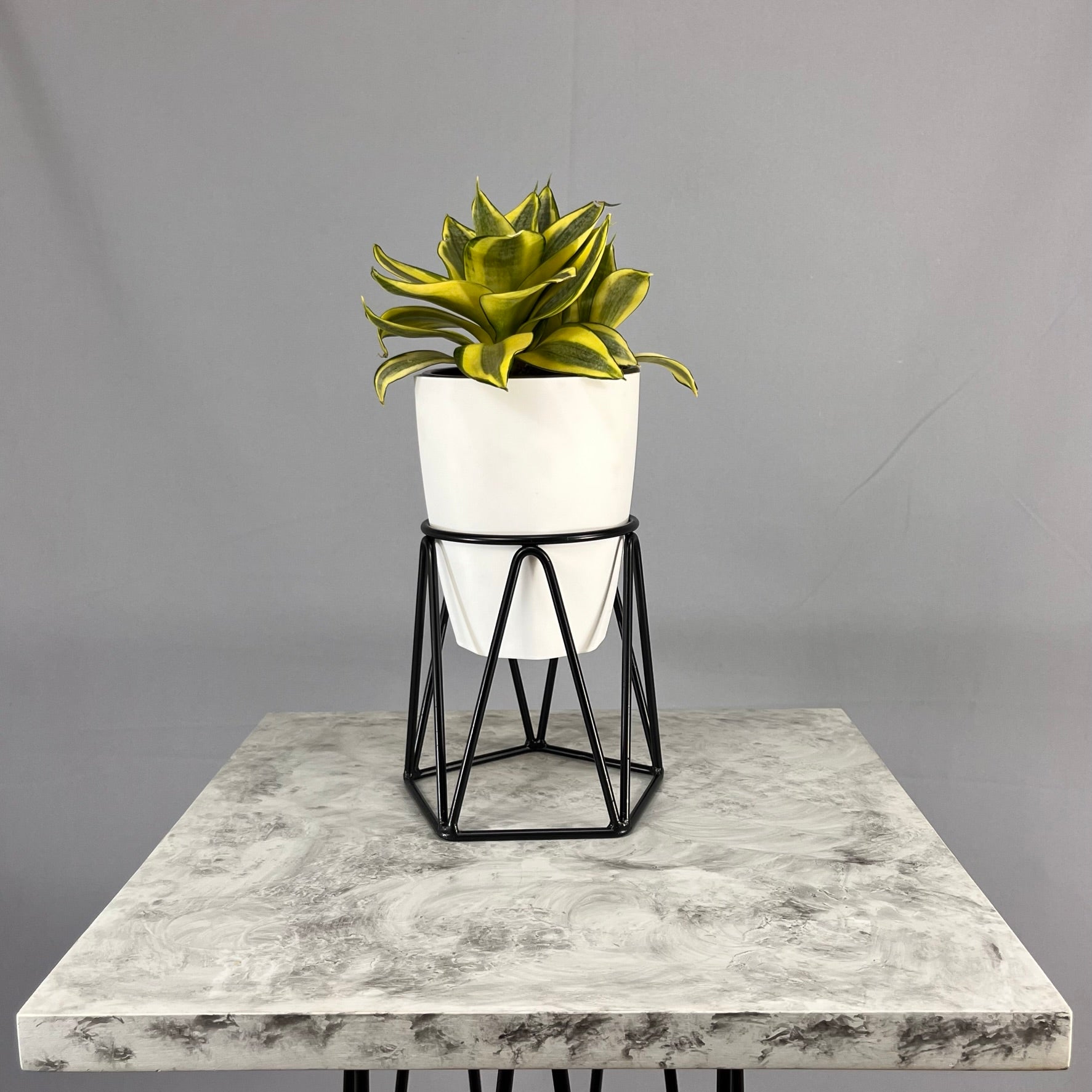 Mini Agata con Matero Orquidea