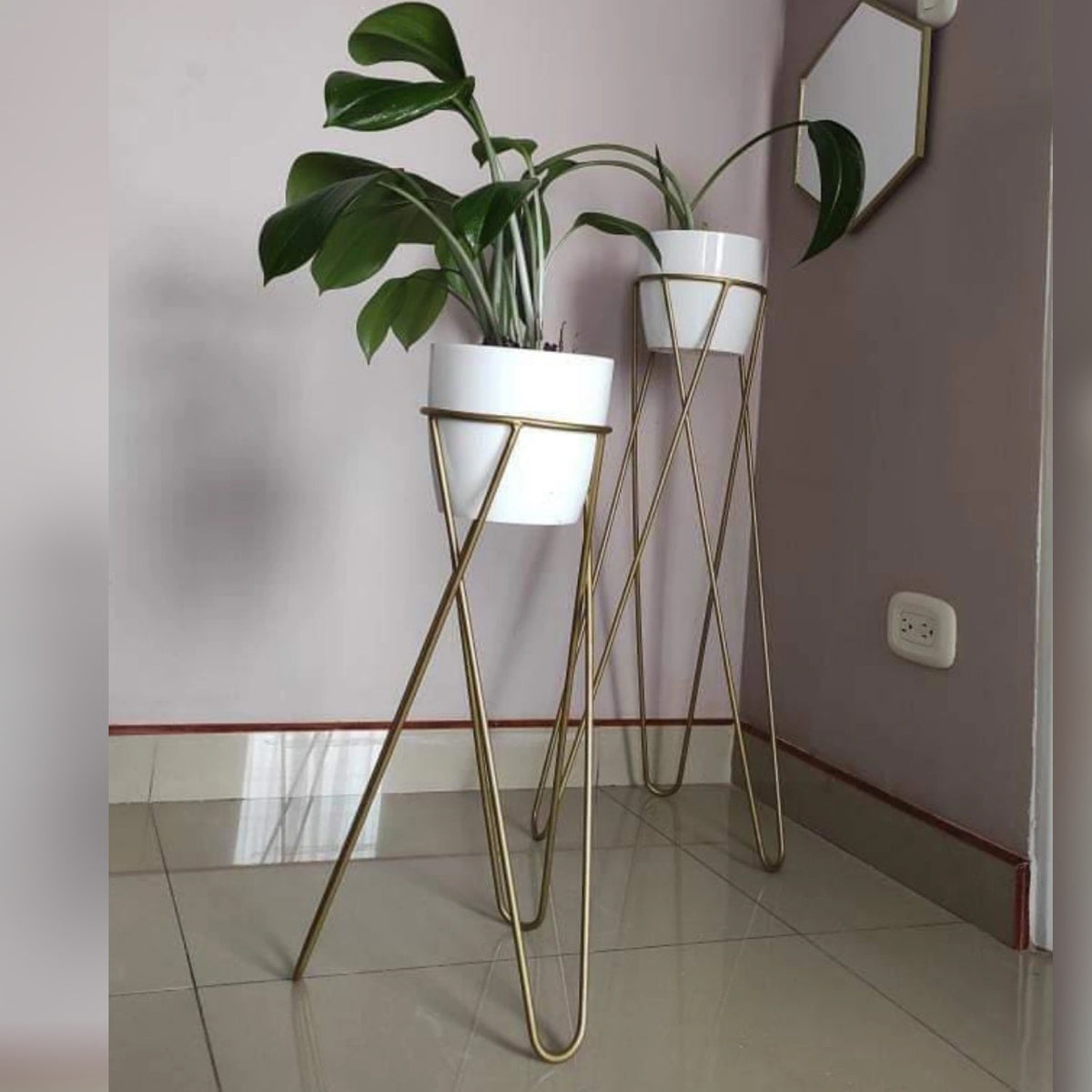 Set Cornalina con Materos Plasticos