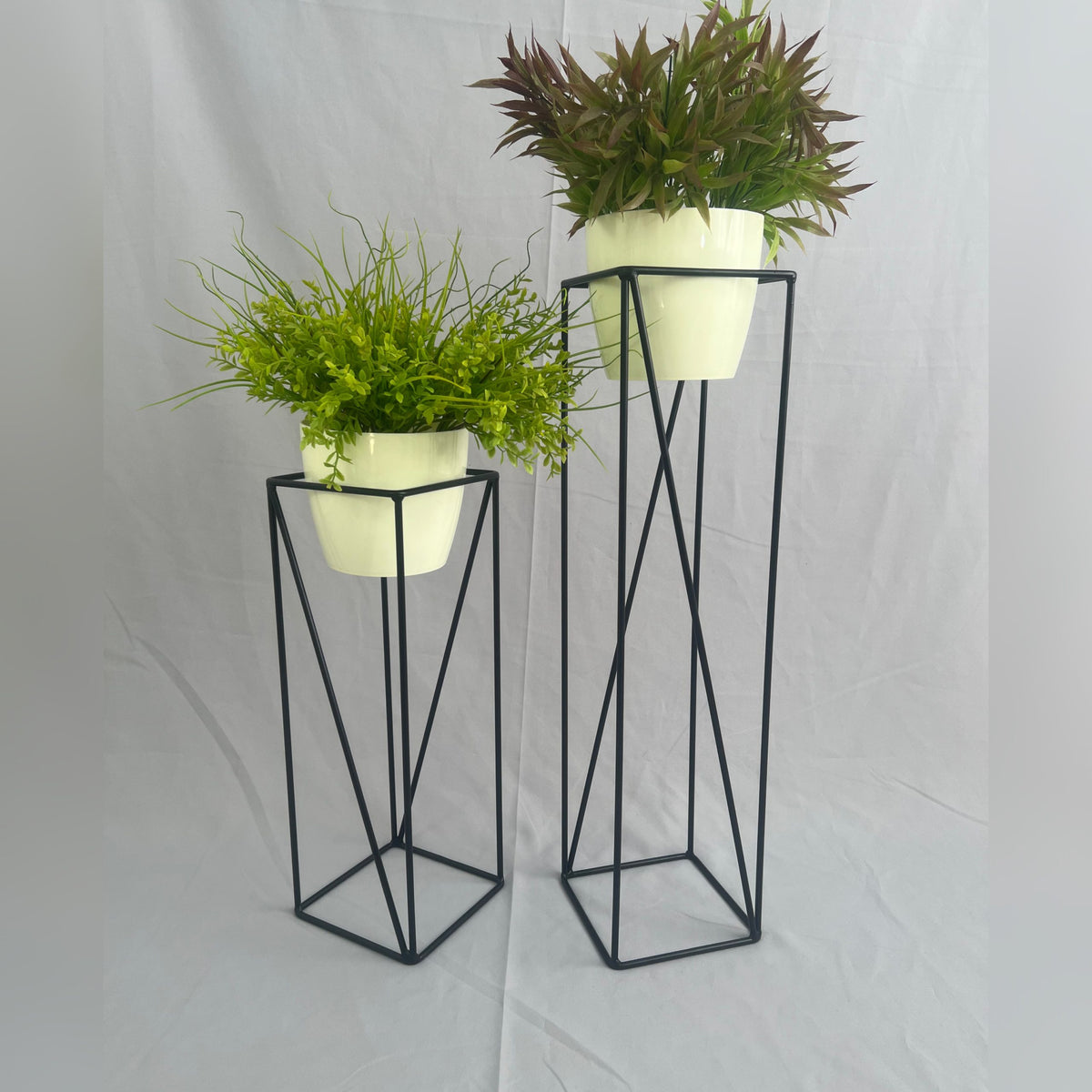 Set Tanzanita con Materos Plasticos