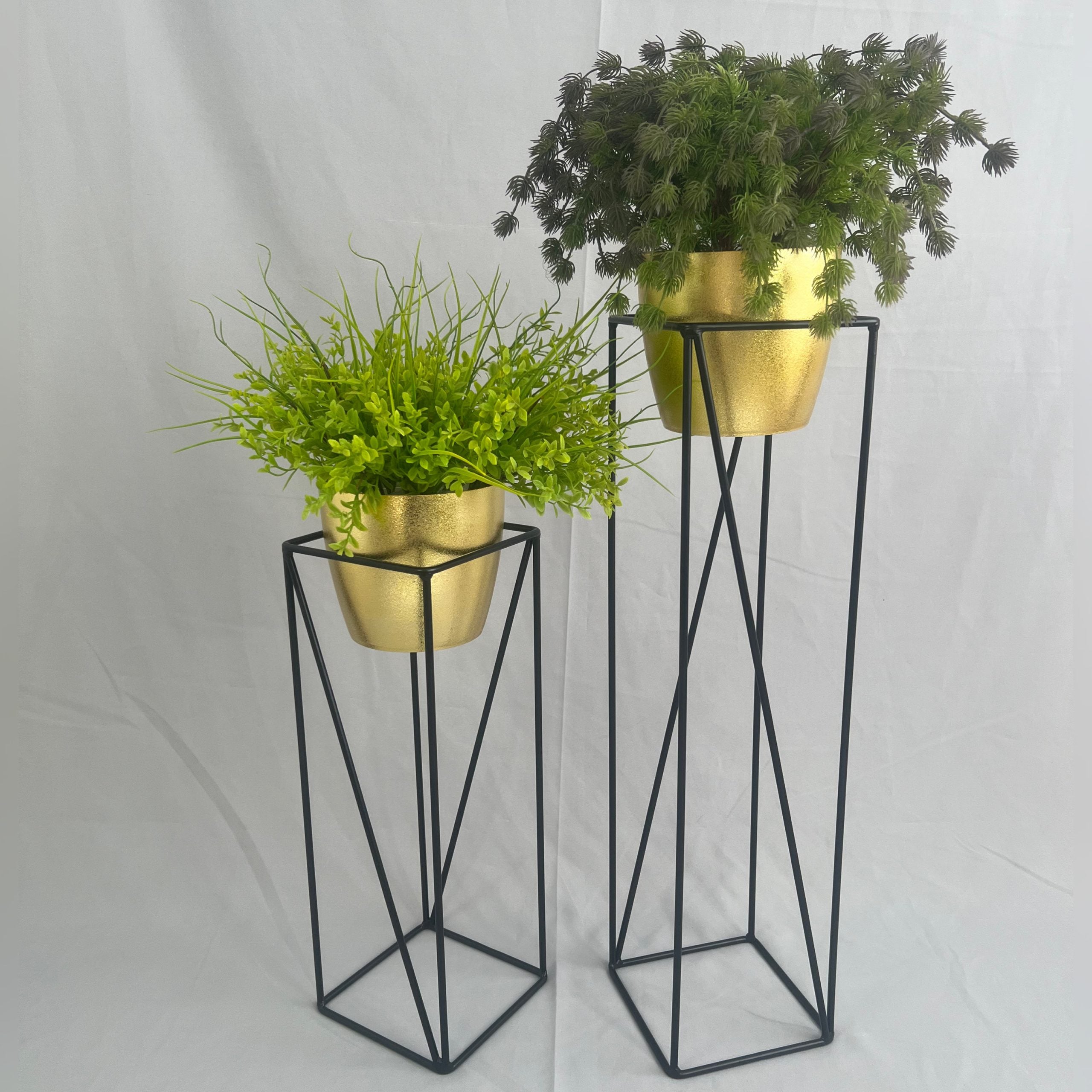 Set Tanzanita con Materos Plasticos