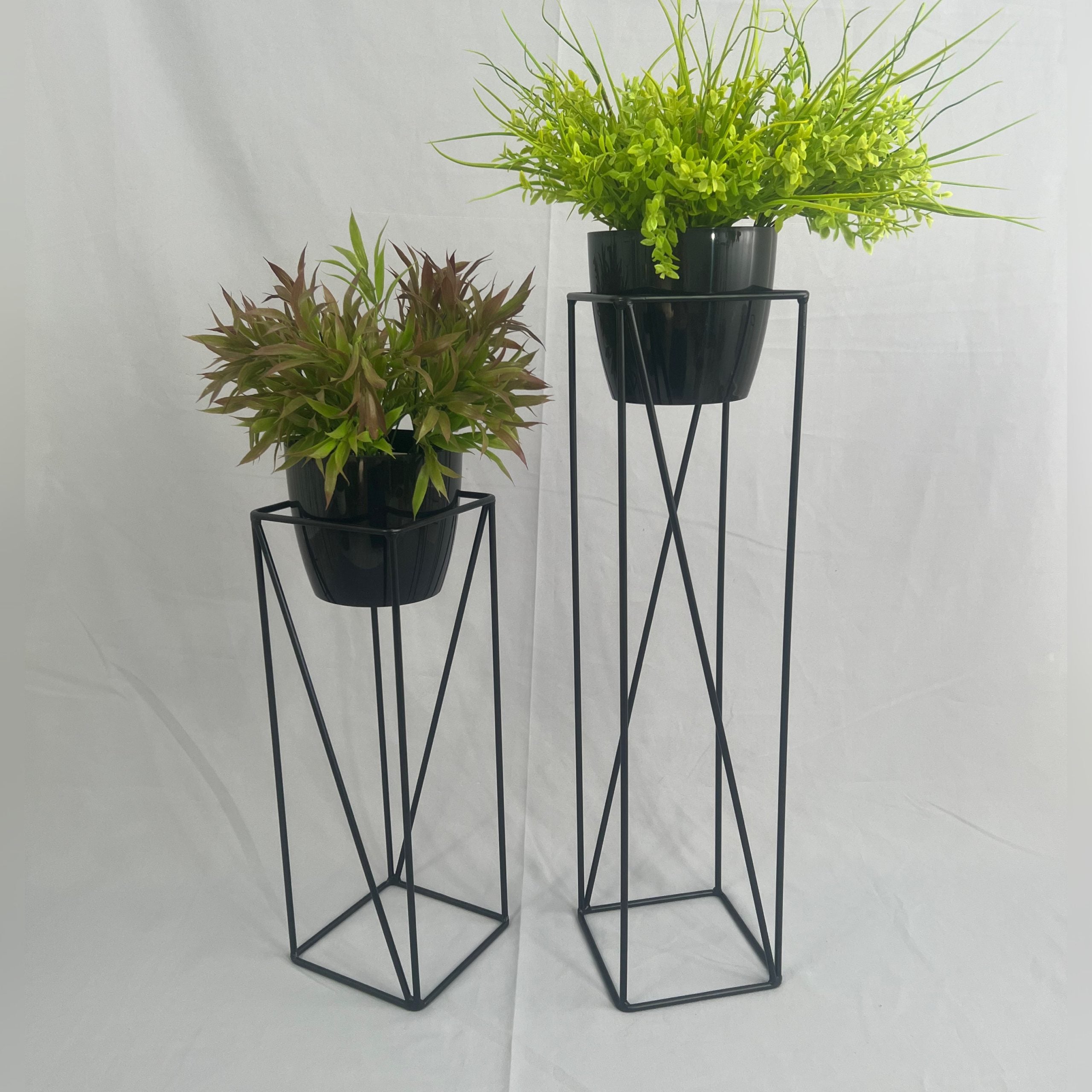 Set Tanzanita con Materos Plasticos